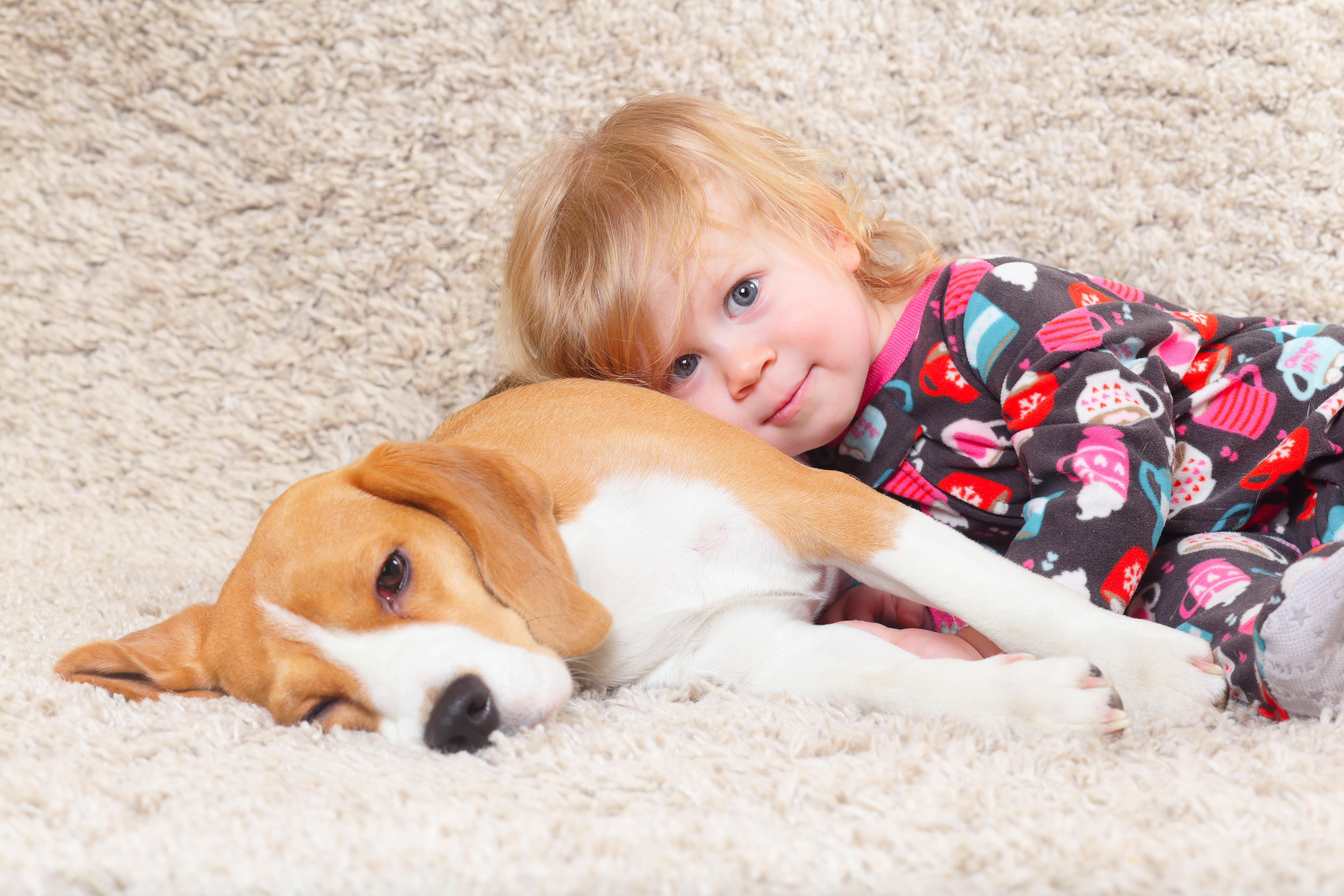 Children with a change in their DNA that increases their chance of developing eczema were less likely to have the condition if they were exposed to a dog in early life (Alamy/PA)