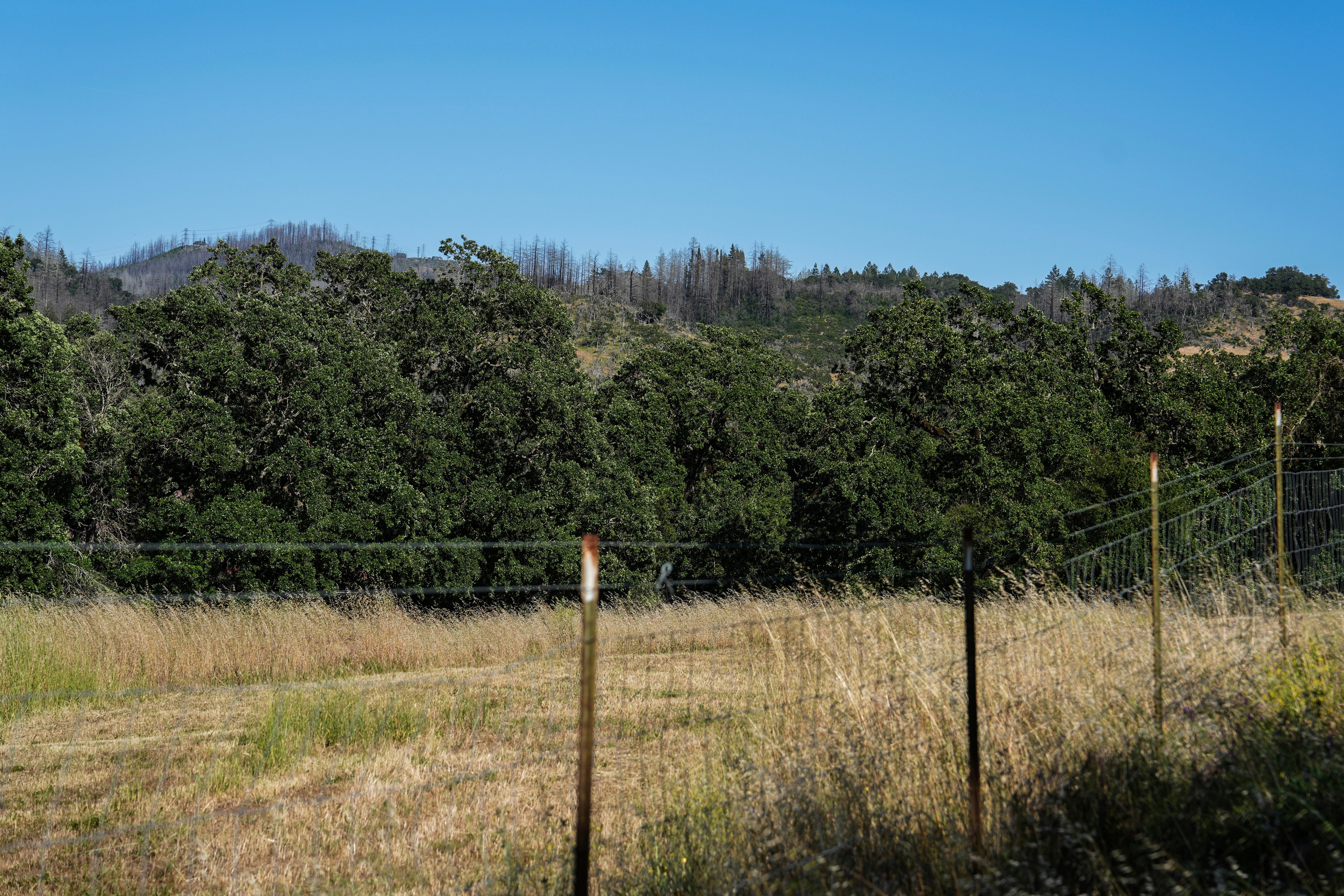 California Wildfires Clean Energy