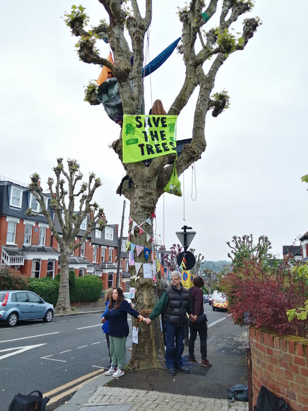 Haringey Tree Protectors says the council's claims that the tree has caused root damage are unsubstantiated