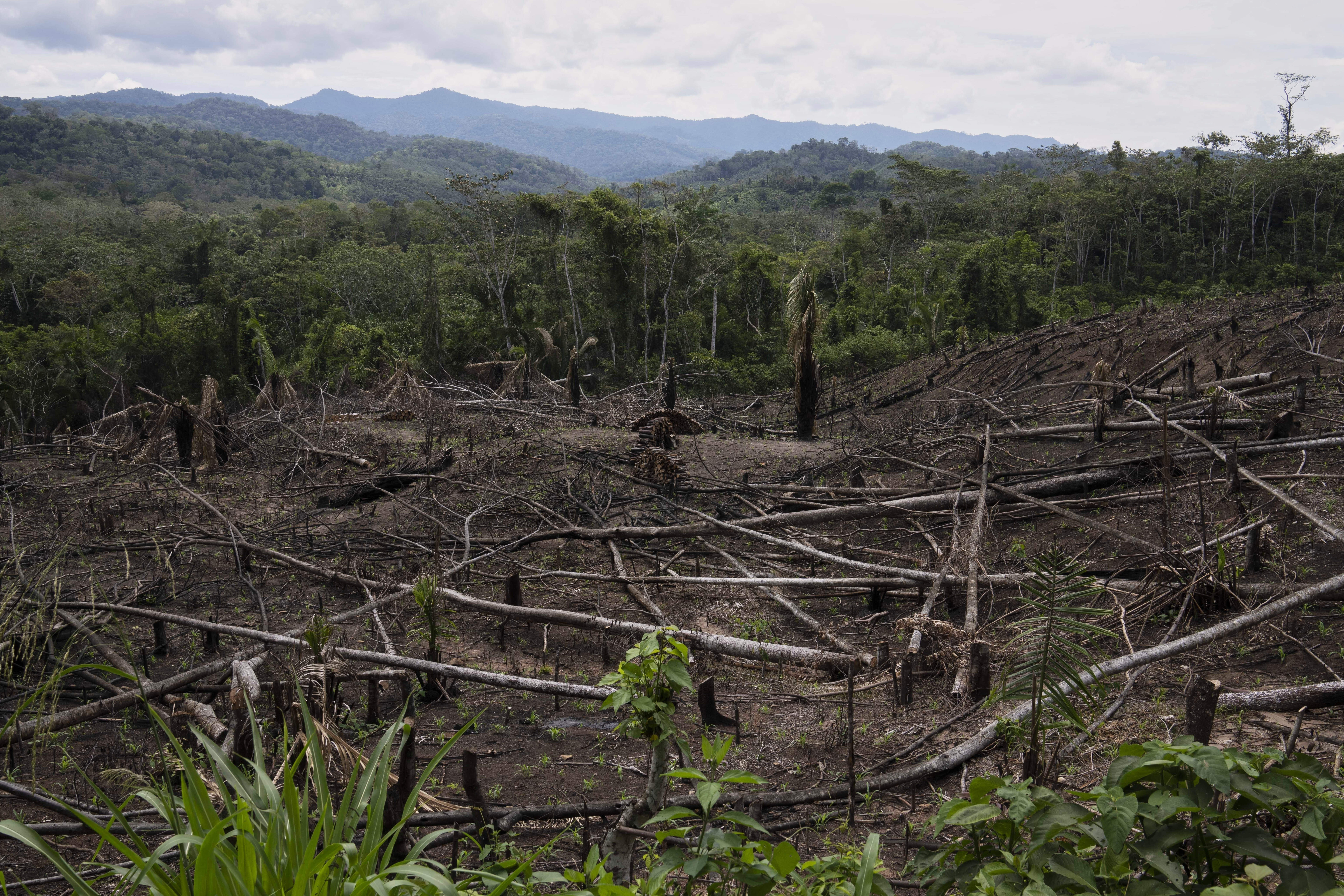 Indigenous Affairs DOGE Cuts