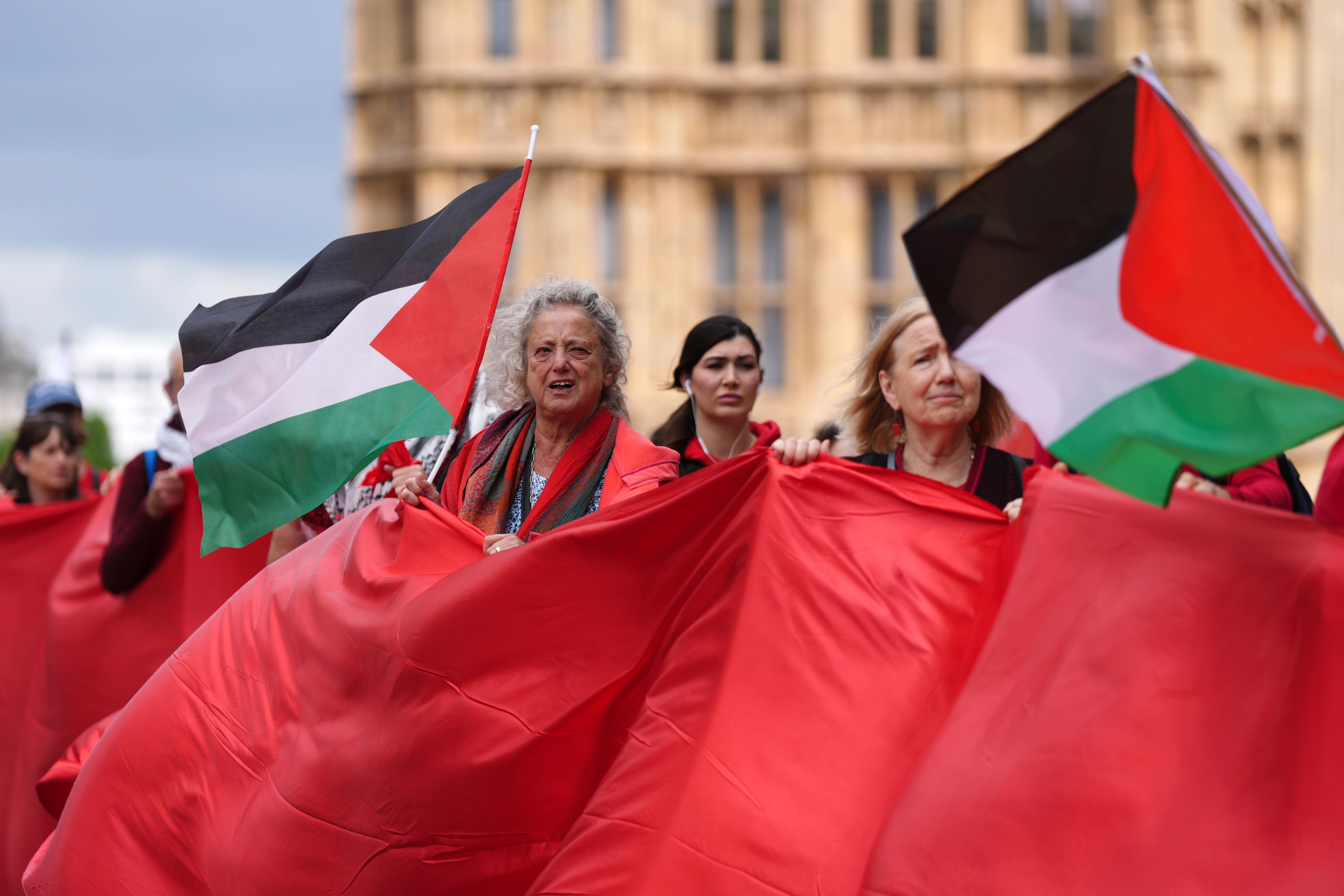 Protesters hold Palestinian flags outside the Palace of Westminster (Ben Whitley/PA)
