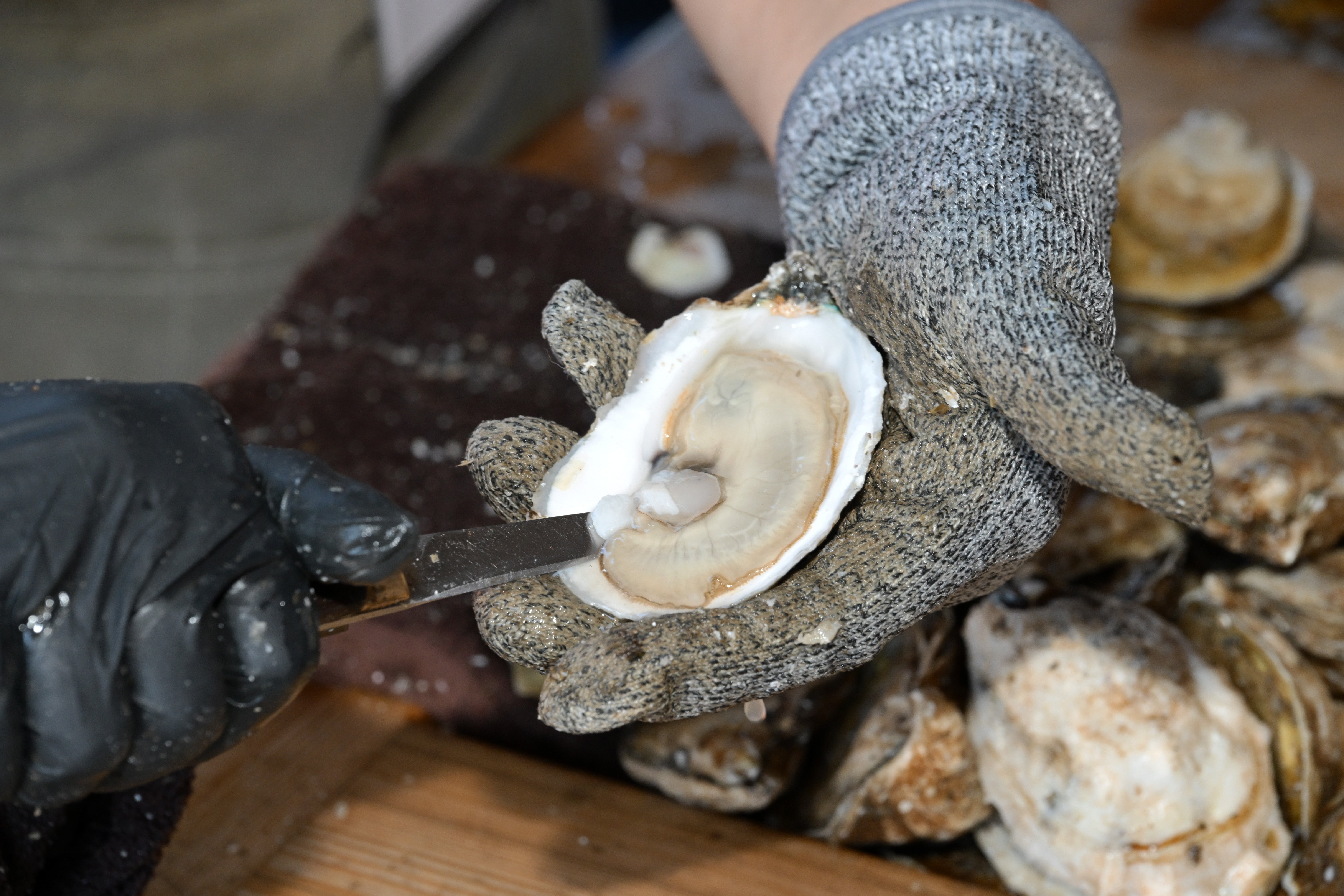 Whether the upcoming norovirus season will surge early again this year may be anyone’s guess. But, scientists say there’s a new strain to worry about