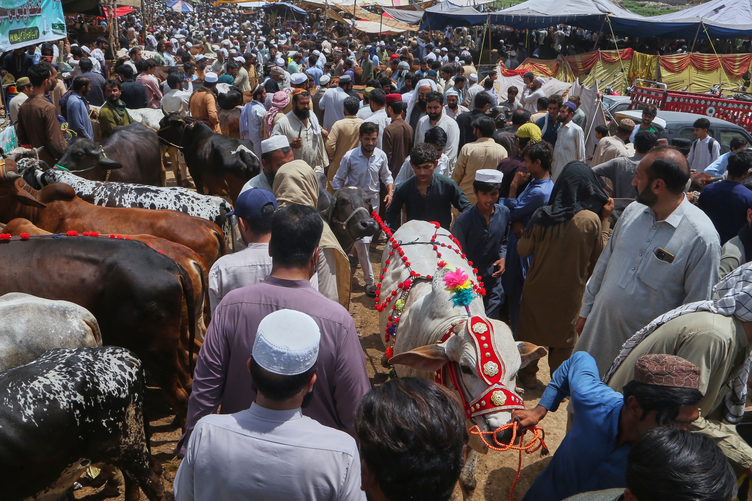 Pakistan Eid al-Adha