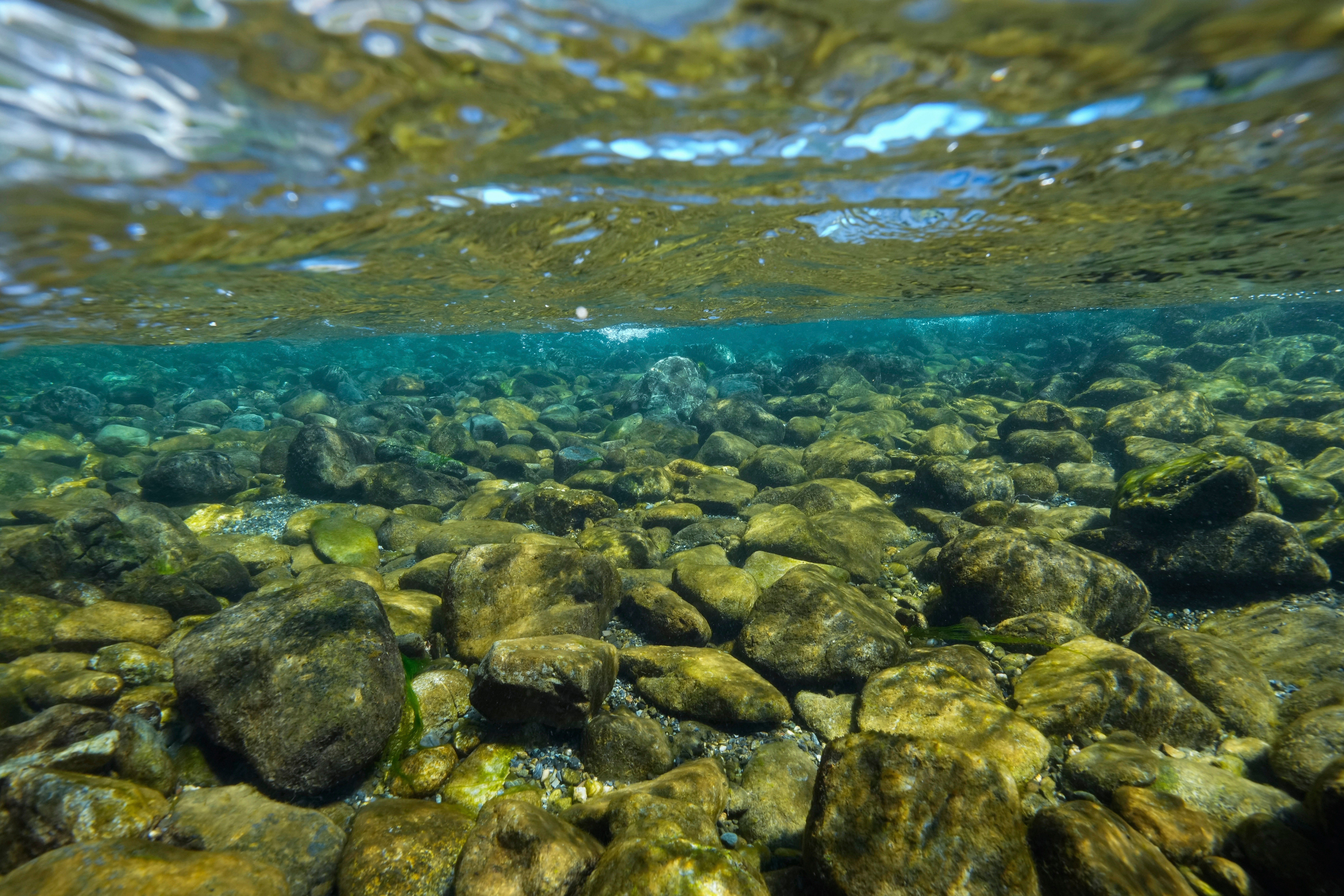 Climate California Tribe Land Back