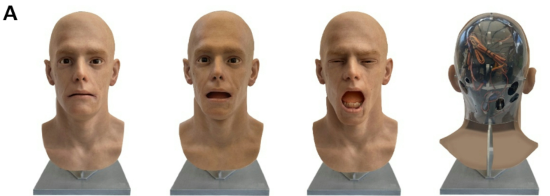Android head gaping and yawning