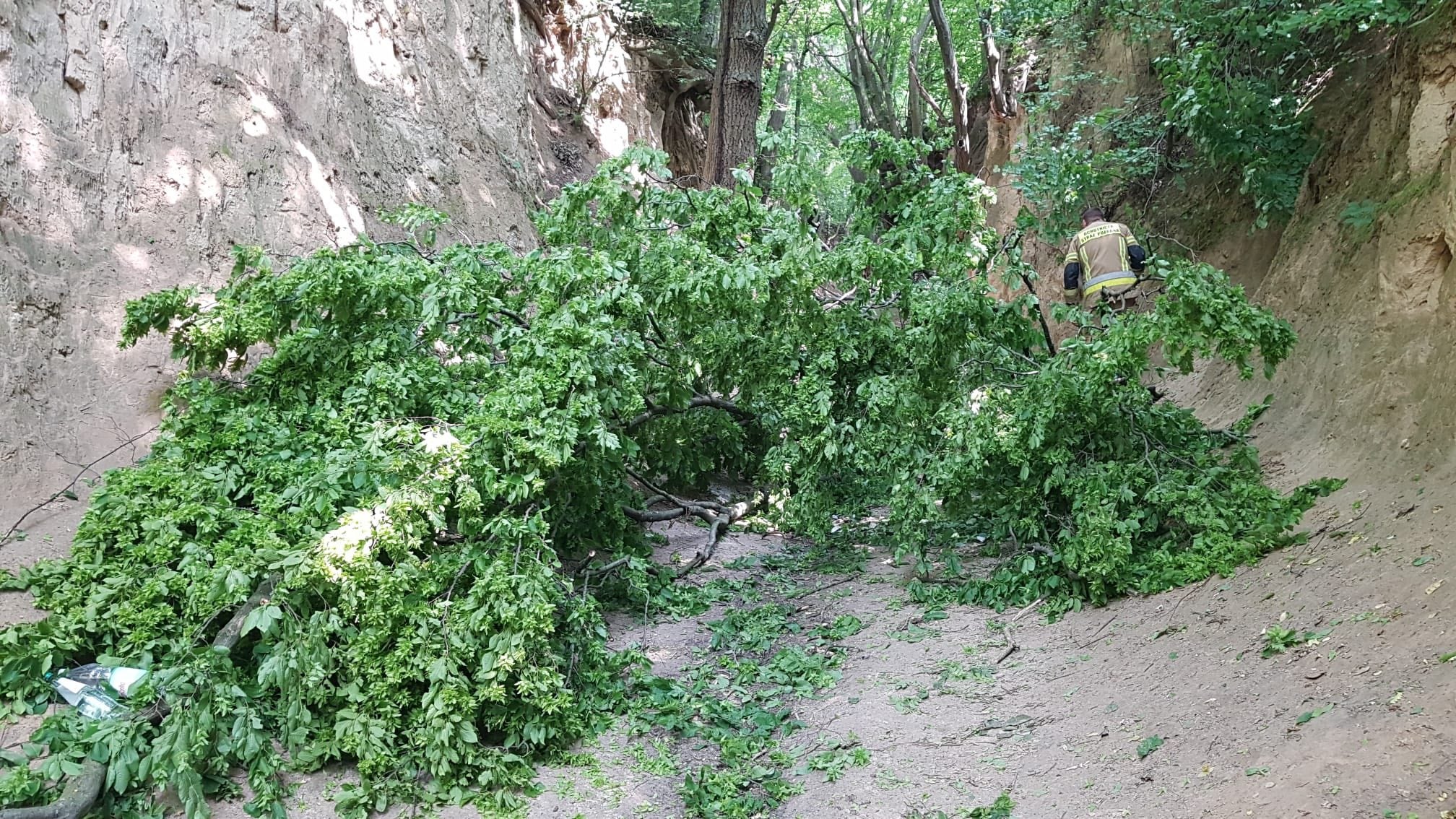 Local firefighters said 13 people are injured, including three who are seriously hurt