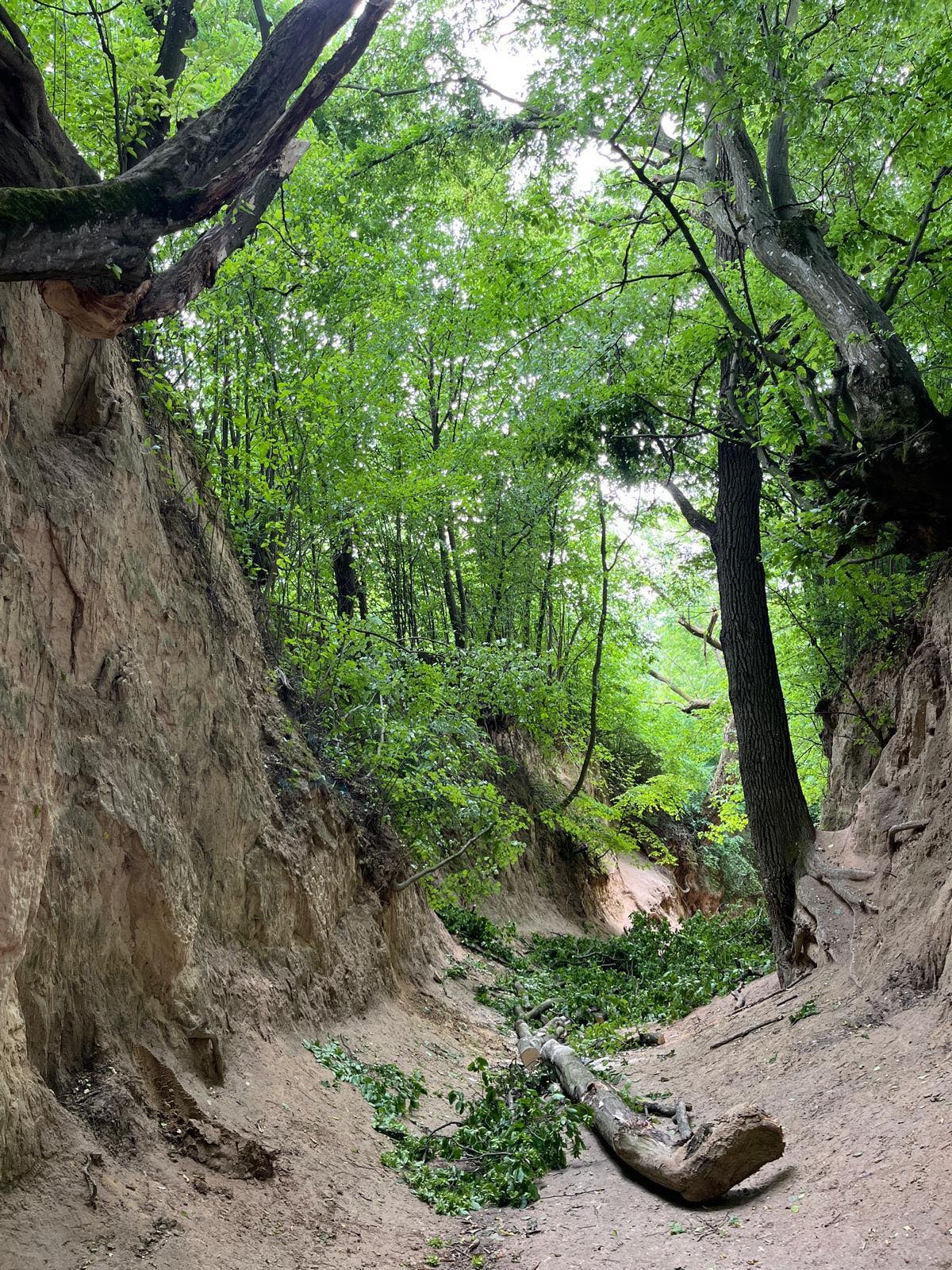 Local firefighters said 13 people are injured, including three who are seriously hurt