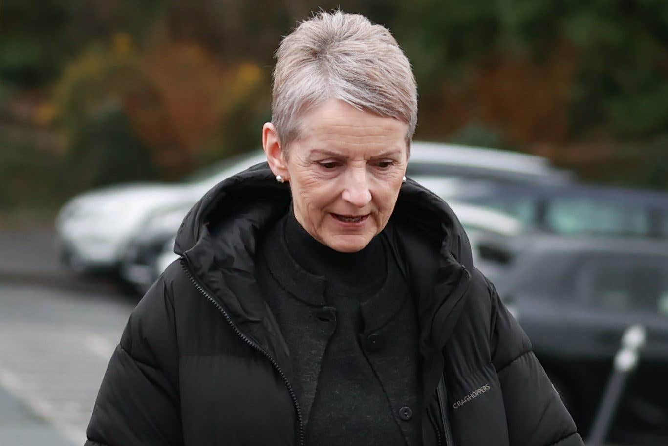 The 59-year-old wife of former DUP leader Sir Jeffrey Donaldson is facing charges of aiding and abetting (Liam McBurney/PA)