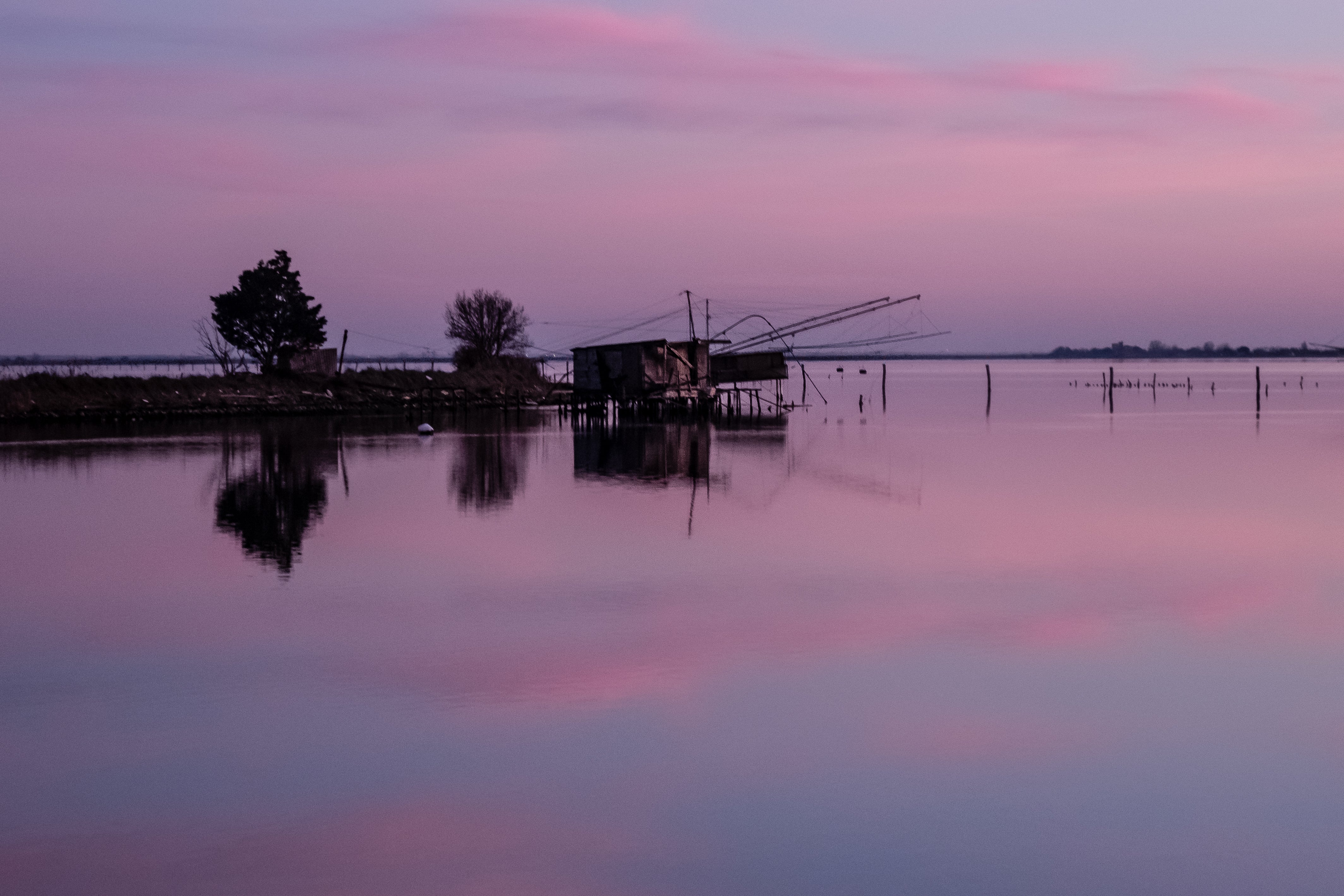 The Po Delta in Commachio is home to a colony of pink flamingos