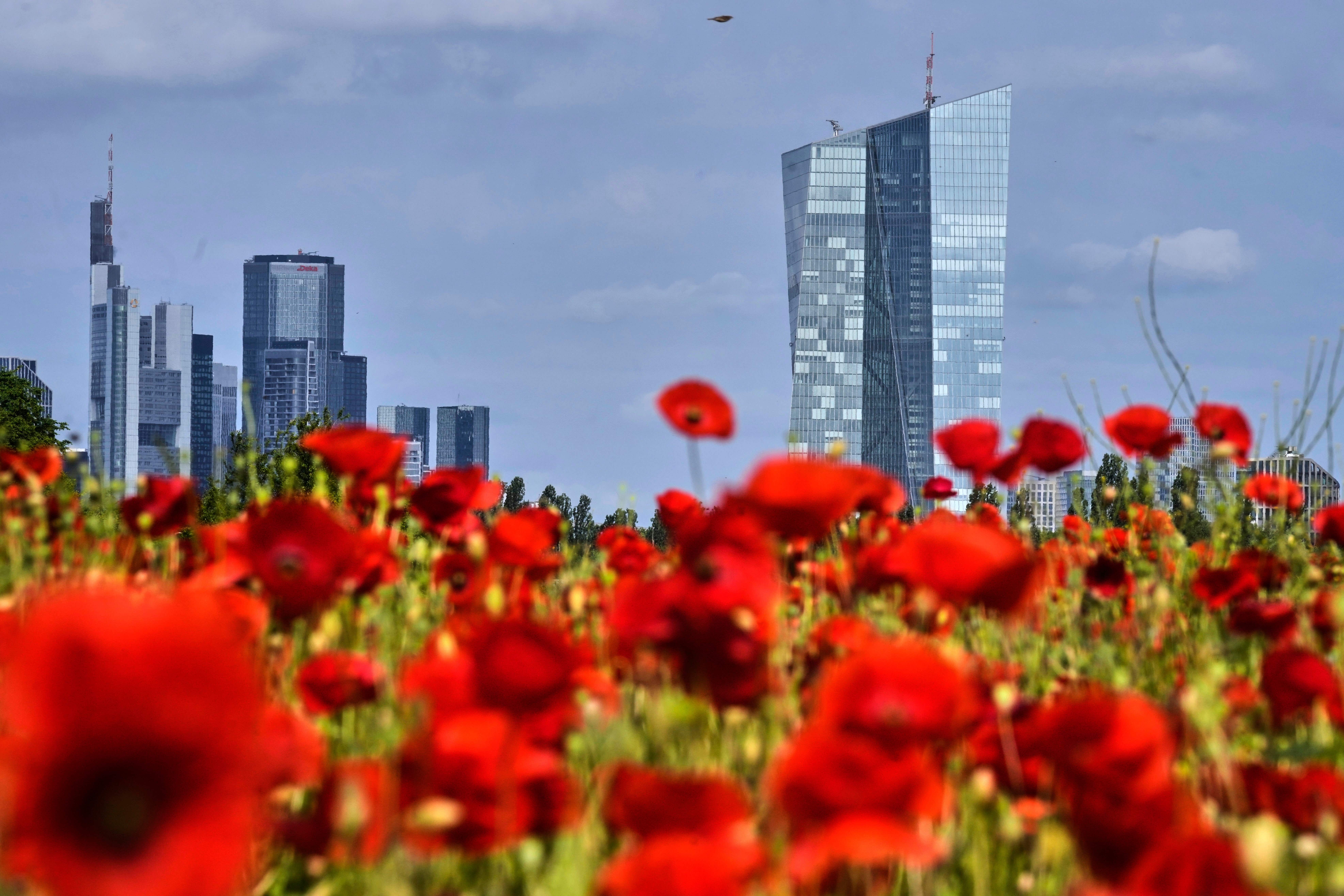 The European Central Bank lowered its three key interest rates by 25 basis points on Thursday (Michael Probst/AP)