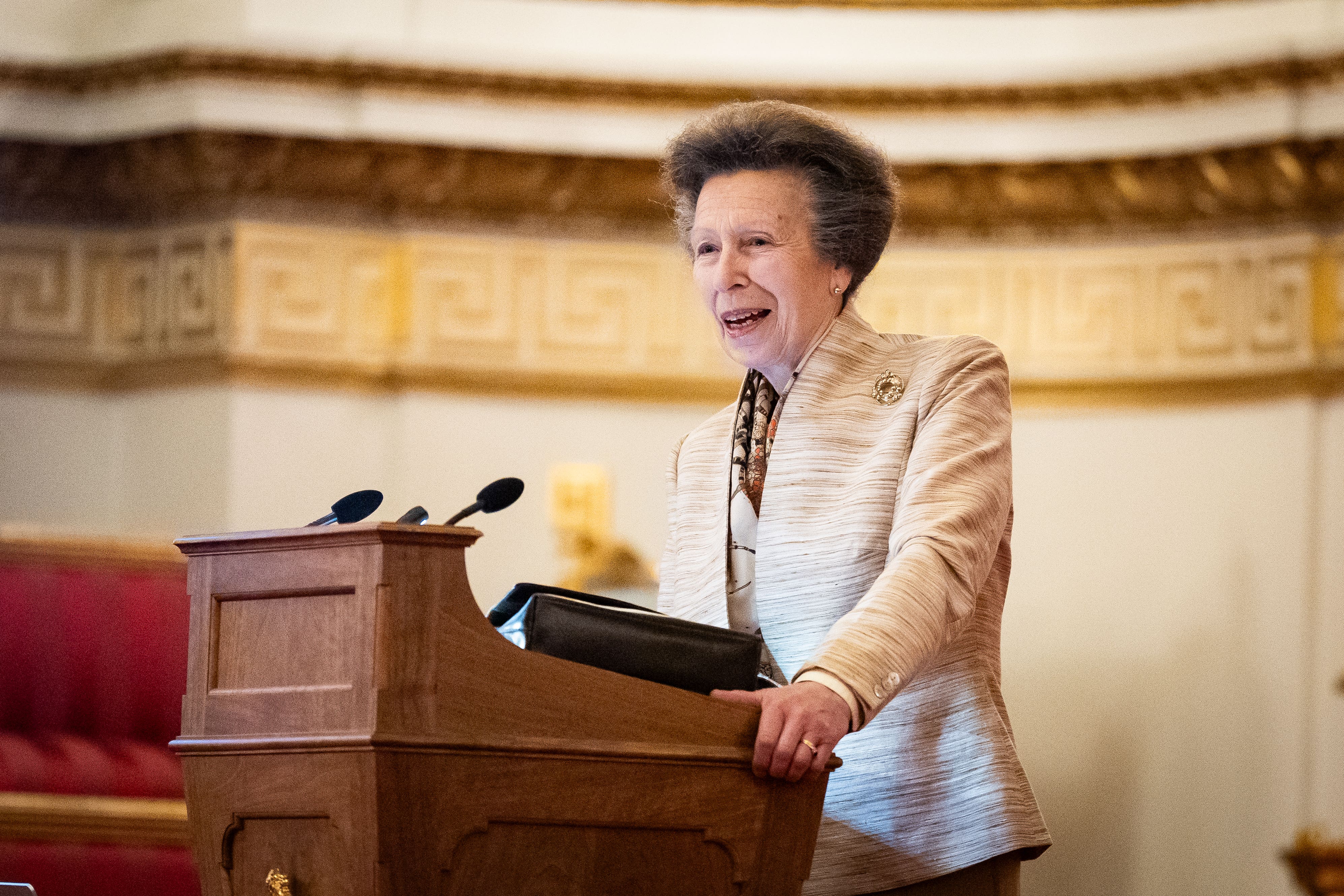 The Princess Royal gives a speech during a reception at Buckingham Palace to bring together charities (Aaron Chown/PA)