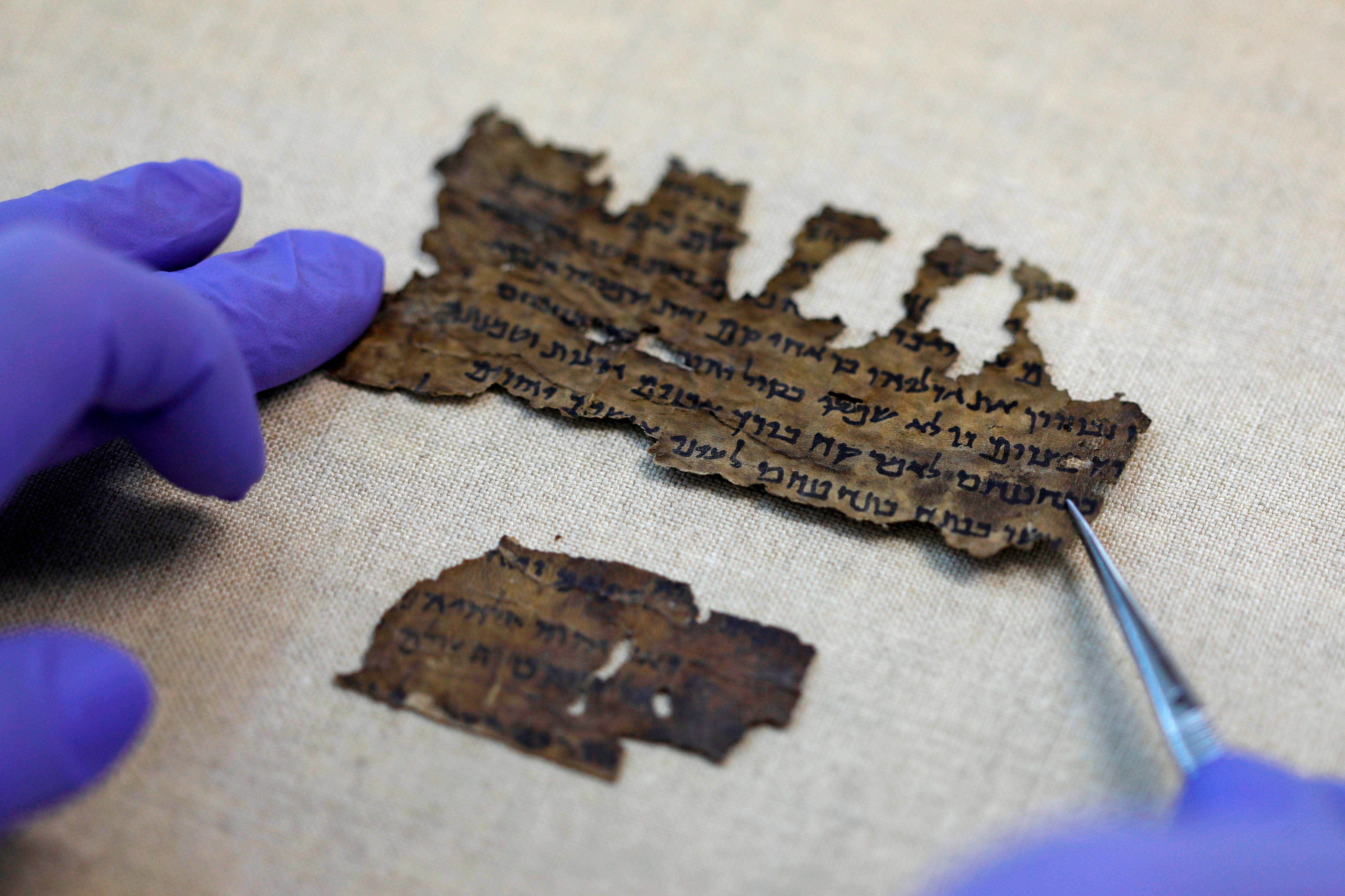 A conservator of the Israel Antiquities Authority (IAA) shows fragments of the Dead Sea Scrolls at their laboratory