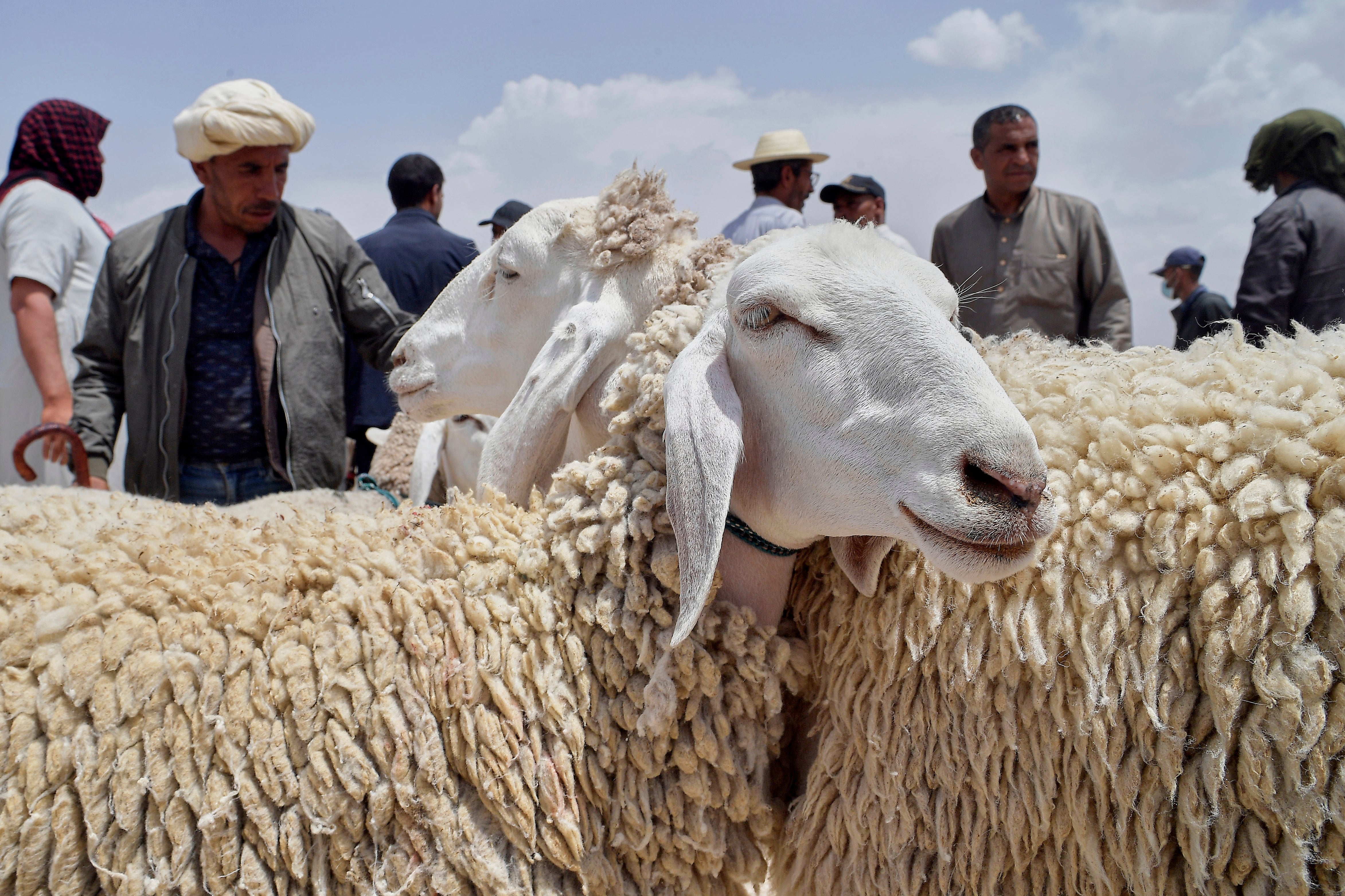 APTOPIX Algeria Eid al-Adha