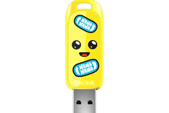 SanDisk Fortnite