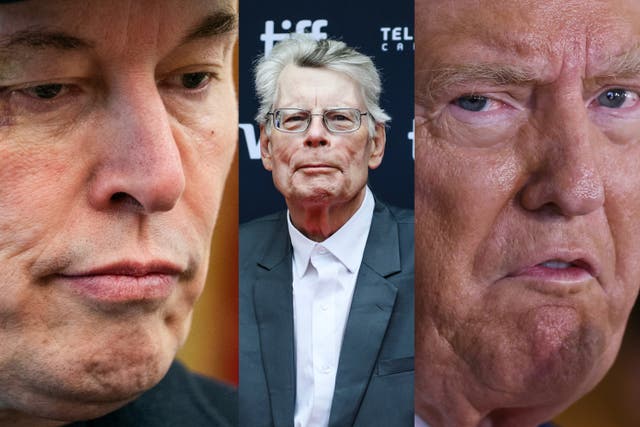<p>Elon Musk, Stephen King and Donald Trump</p>