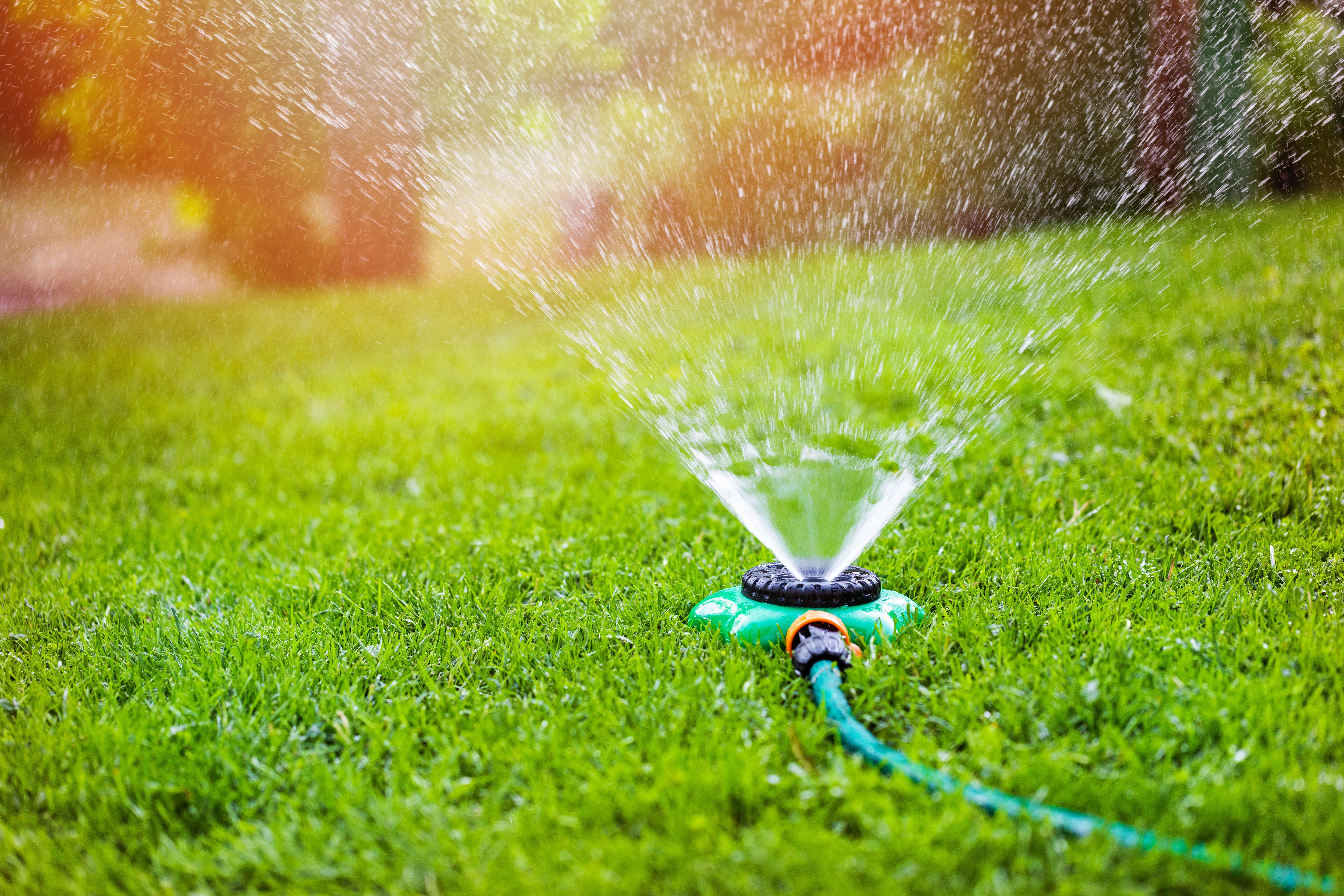 Soaking your lawn is a great way to keep it healthy