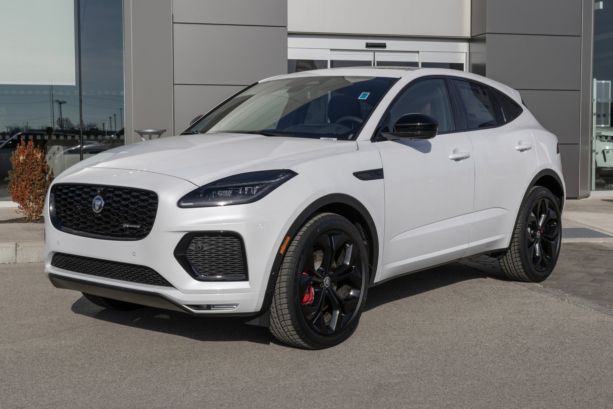 Mia Forbes Pirie, 48, and Mark Simpson, 62, took matters into their own hands after their Jaguar was stolen from near their home in Brook Green, west London.