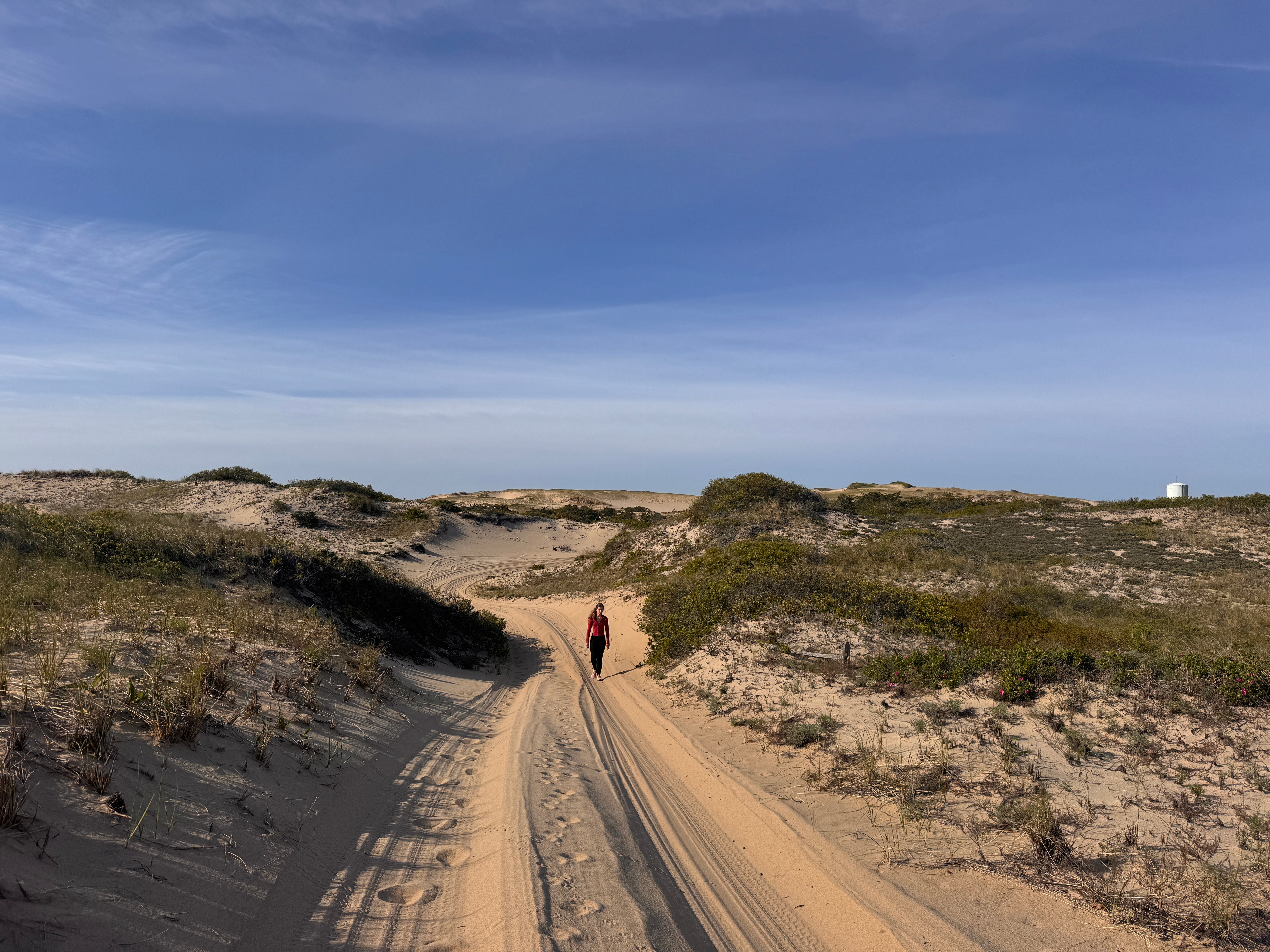 The sweeping dunes of Provincetown