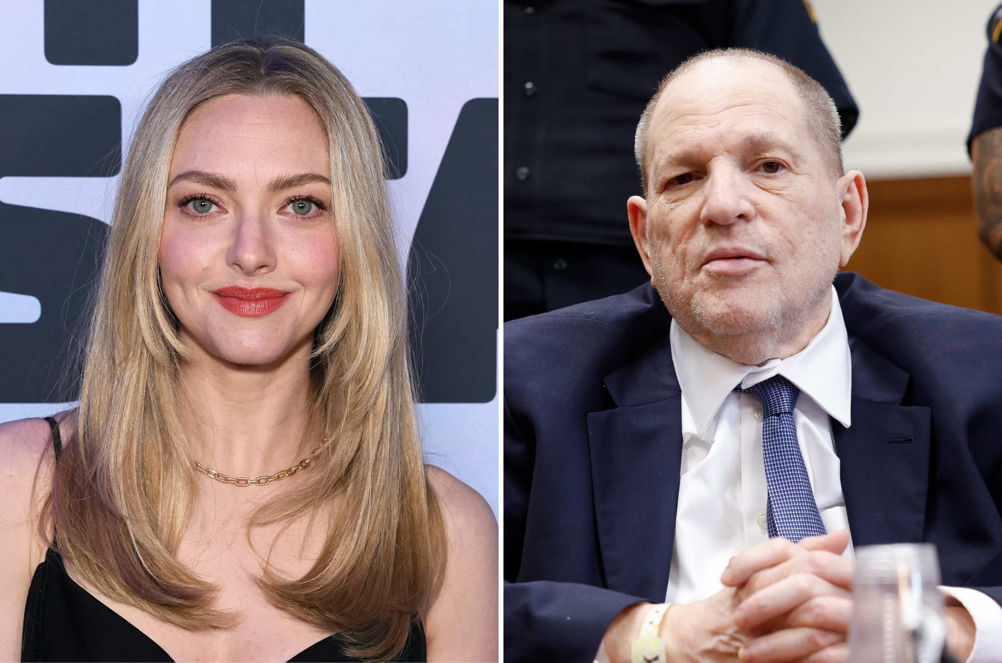Amanda Seyfried recalled giving Harvey Weinstein the 'biggest hug' when he told her he had purchased her 2013 documentary drama 'Lovelace'