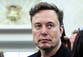 Elon Musk urges release of Epstein files weeks after accusing Trump of being named in them