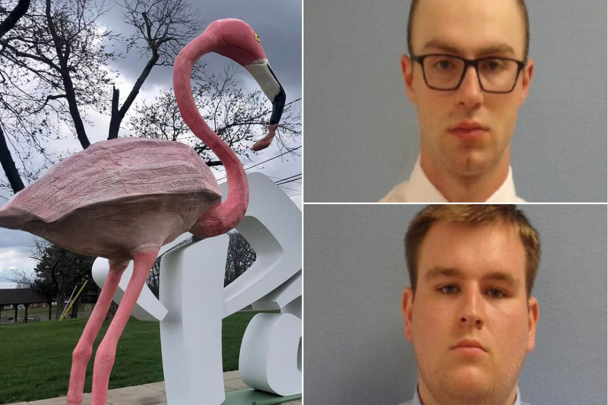 https://static.the-independent.com/2025/06/10/21/06/flamingo-statue-theft.png?trim=49,0,50,0&width=1200&height=800&crop=1200:800