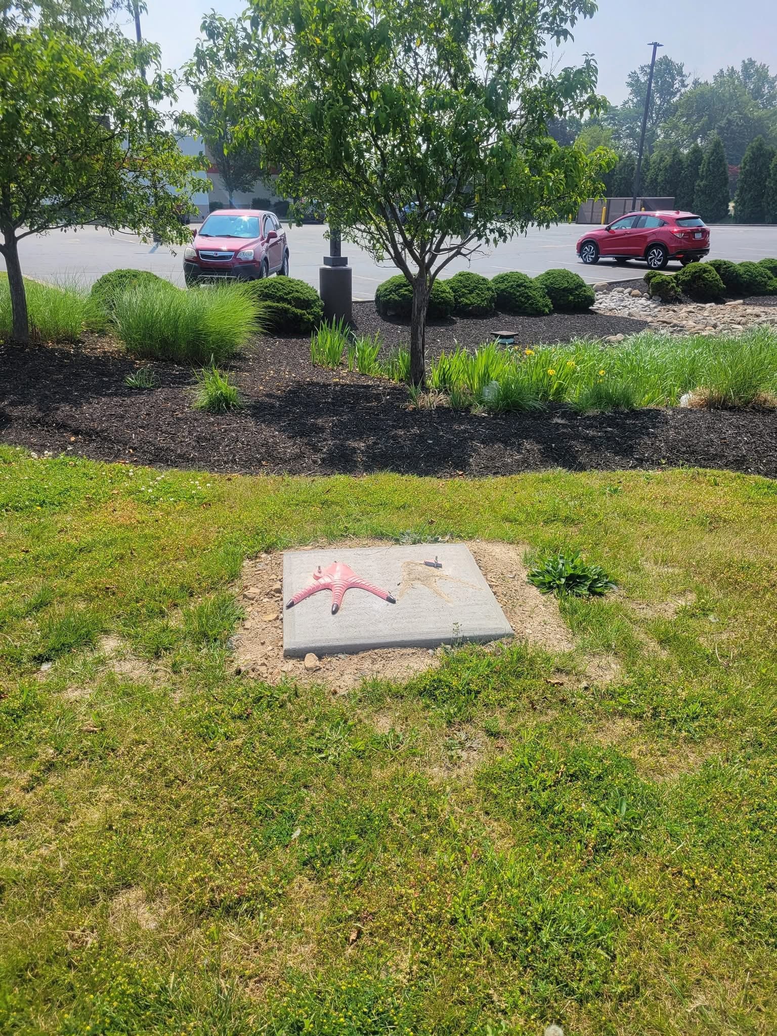 One of the flamingo’s feet was still attached to the concrete pad it was once attached to