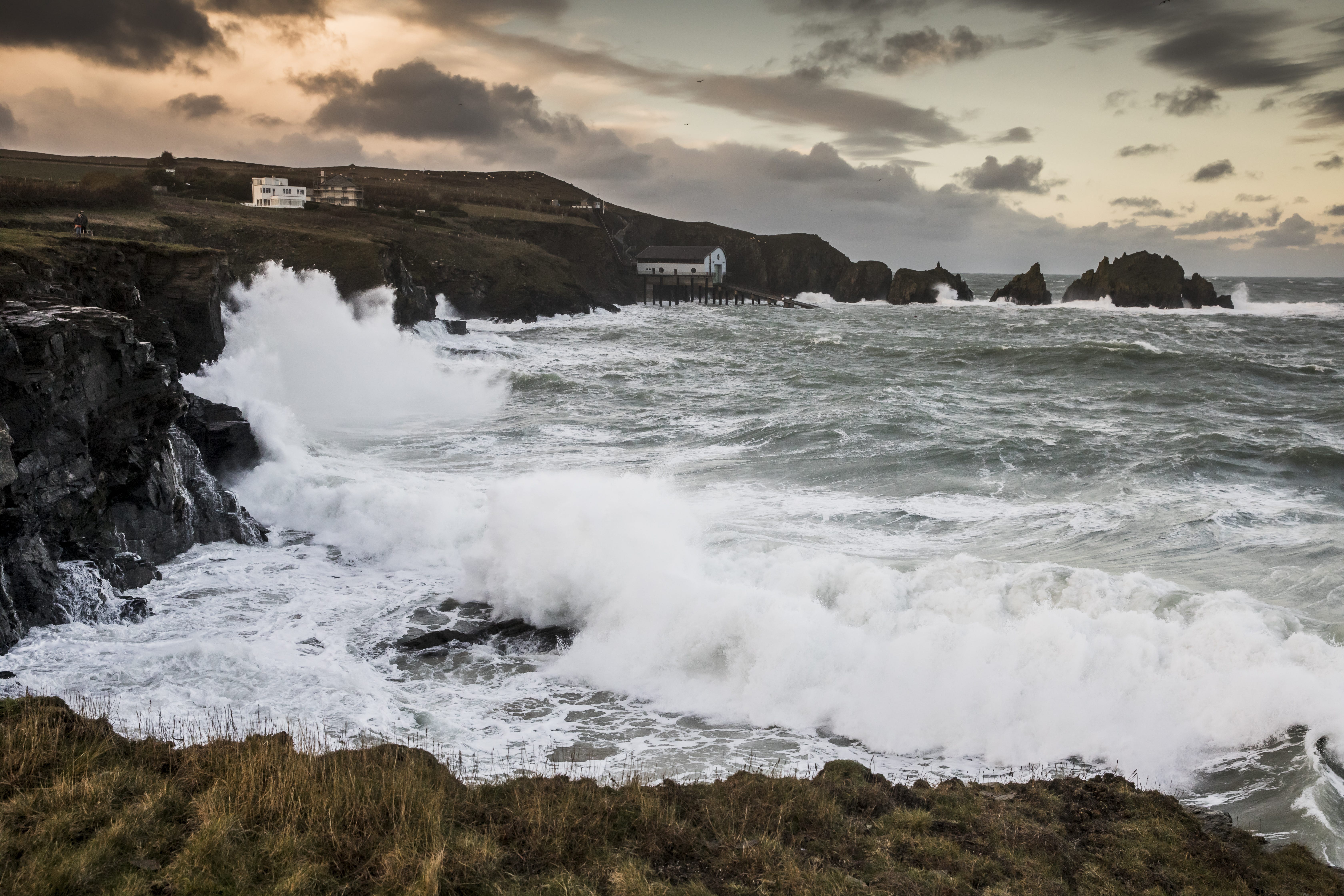 The Government has announced that it will introduce a Bill to ratify the High Seas Treaty (Olly Scholey/Silverback Films/Open Planet Studios/PA)