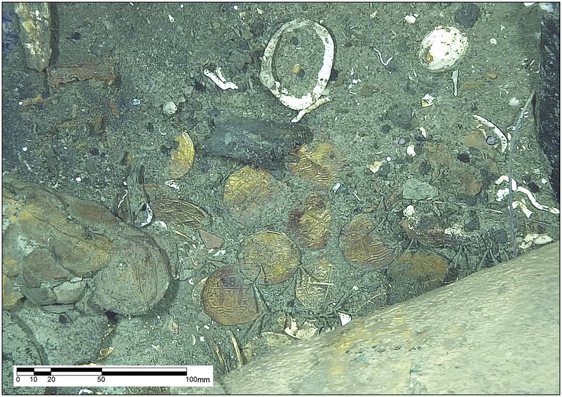 Photograph of cob hoard area in the port section of the stern, showing the coins, as they were seen on the seabed