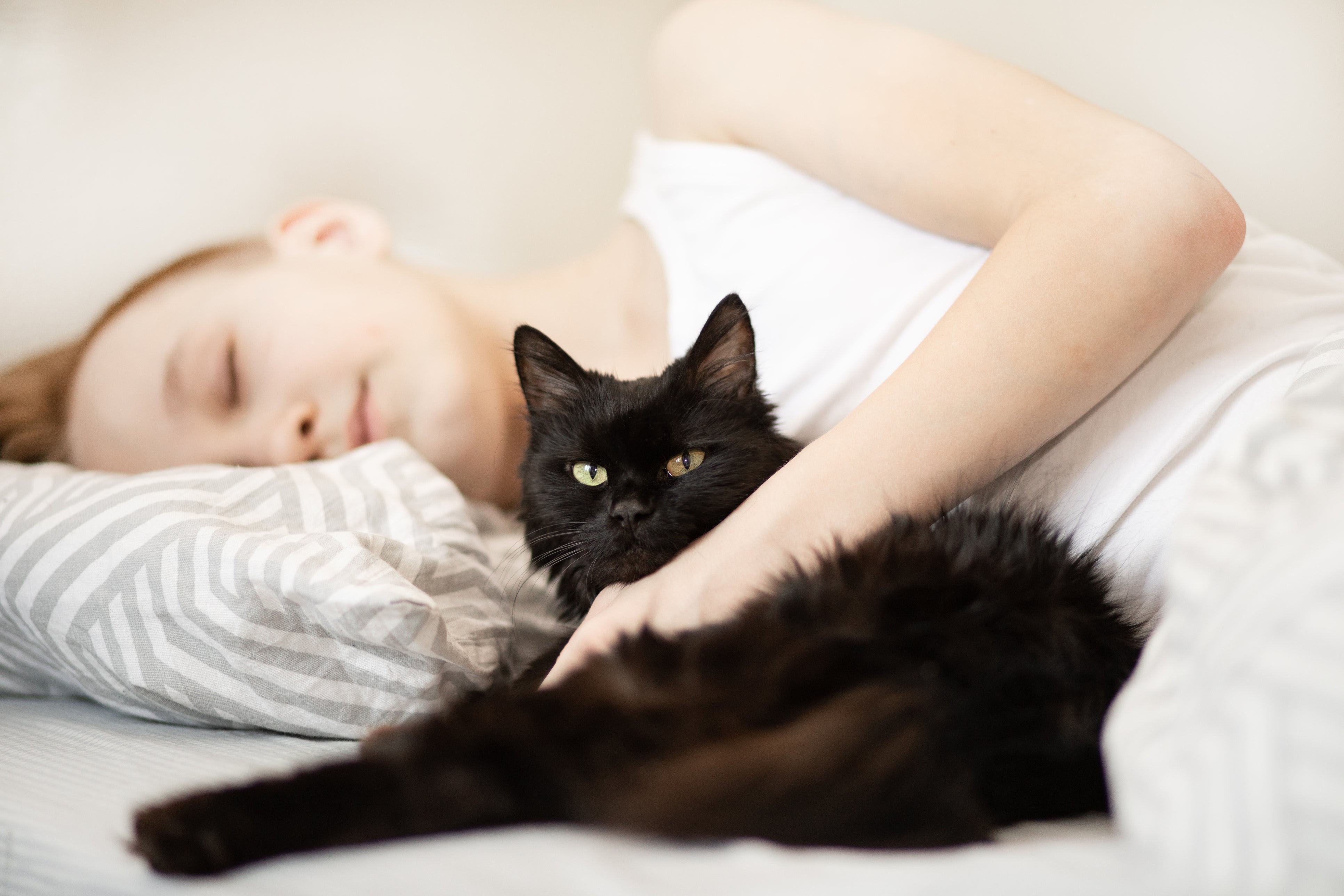 Jak mnoho majitelů koček ví: „Zoomies“ se často stane dříve, než jsou připraveni vstát z postele.