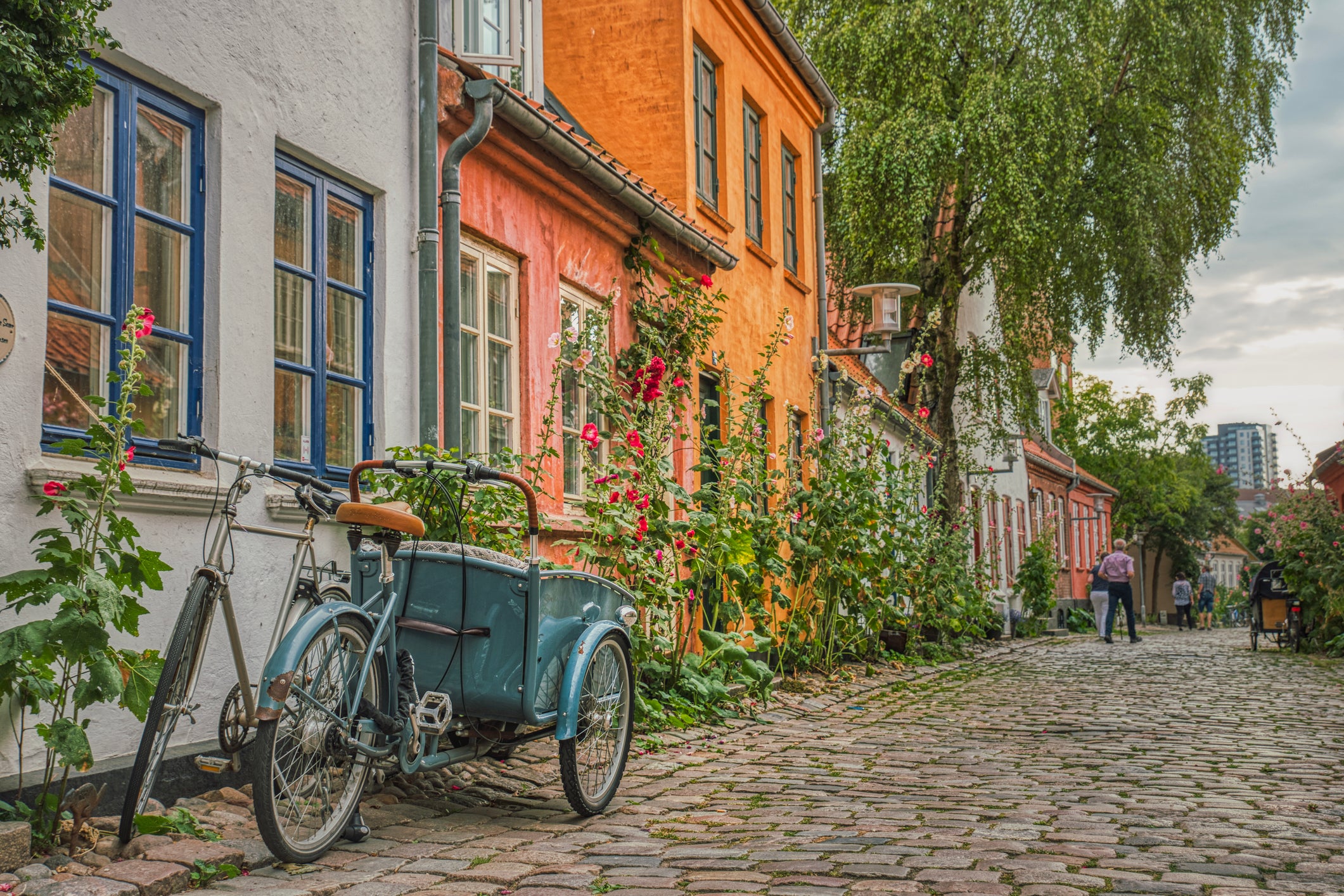 <p>Explore gloriously varied cities like Aarhus which boasts awe-inspiring galleries and museums, and a quaint old town</p>
