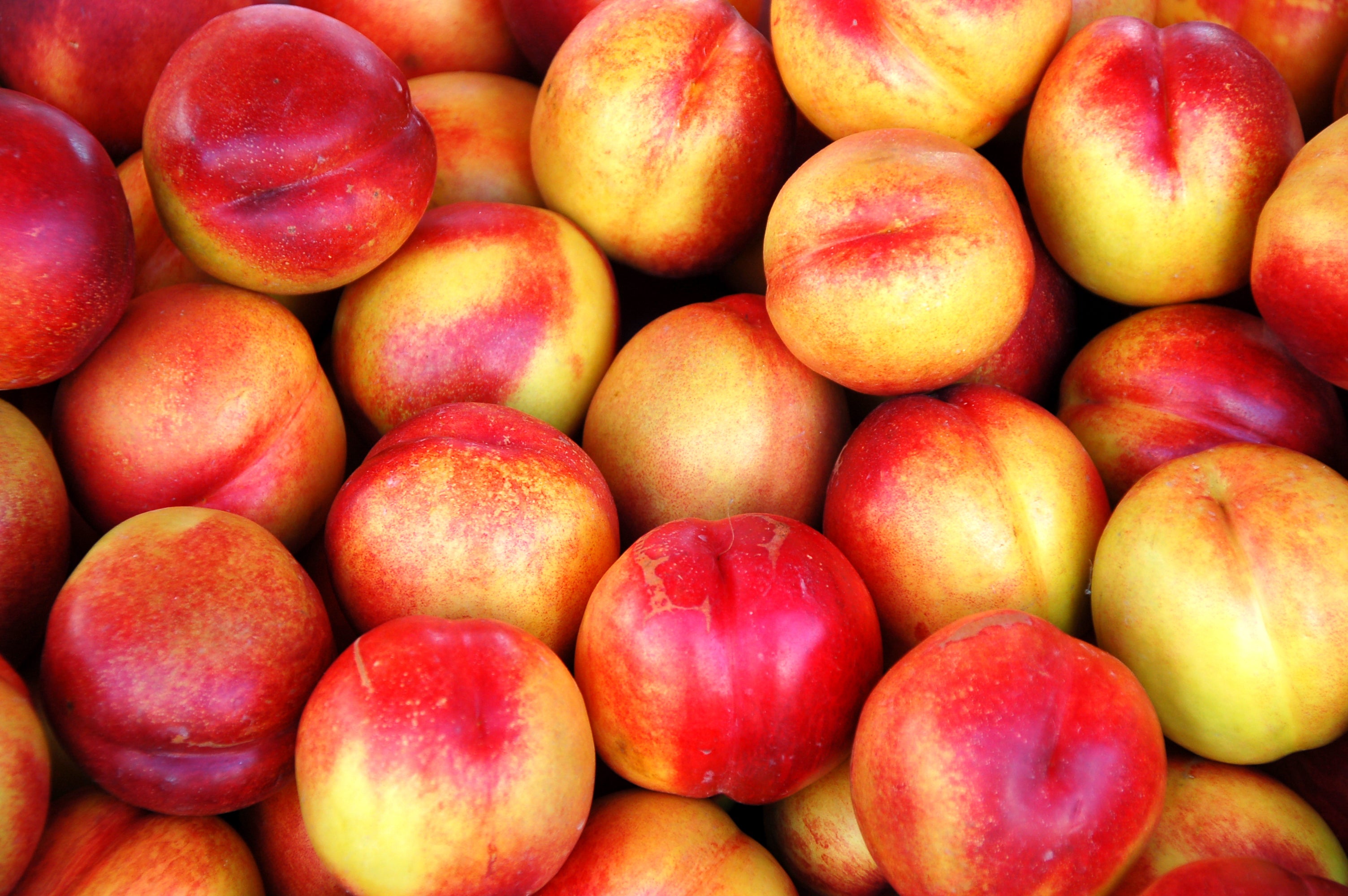 Nectarines, another summer favorite, are also on the list again. One sample found more than 15 different pesticide residues