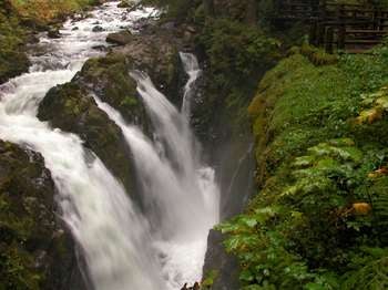 An 18-year-old boy fell to his death at the Sol Duc Falls in Olympic National Park over the weekend.