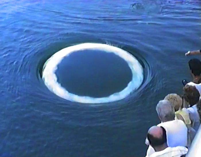 Bubble ring created by a humpback whale