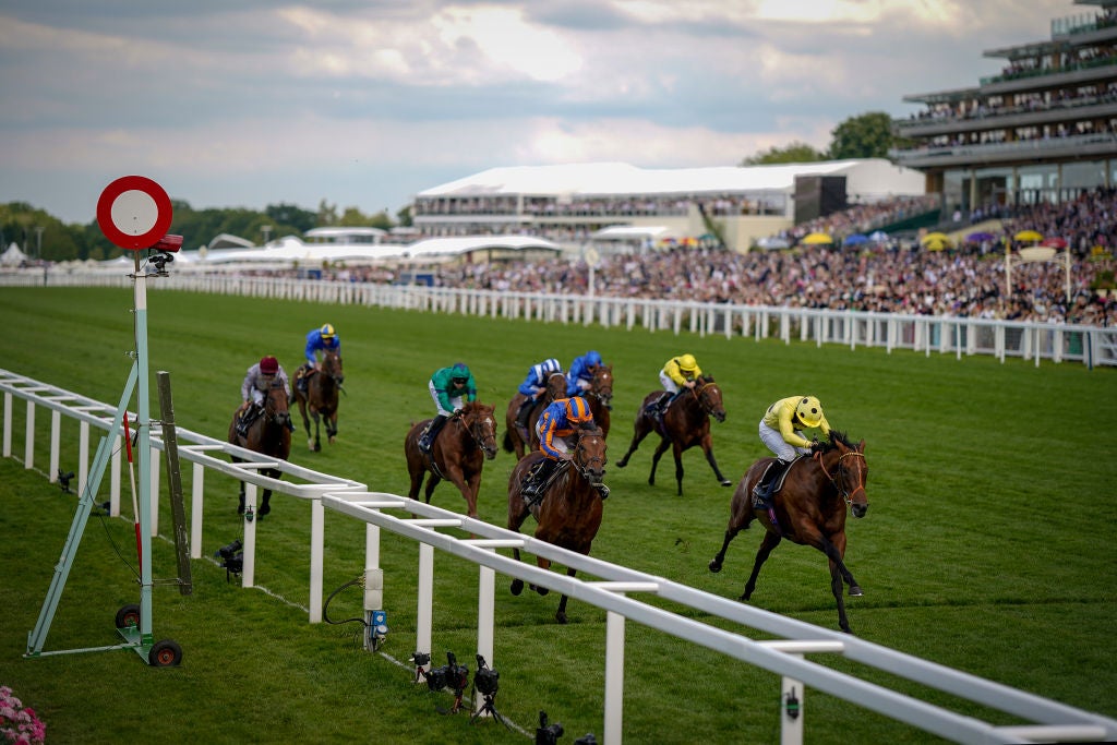 Royal Ascot Free Bets