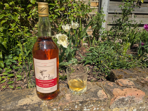 Best Scotch whiskey IndyBest review Amazon blended Scotch whisky special reserve