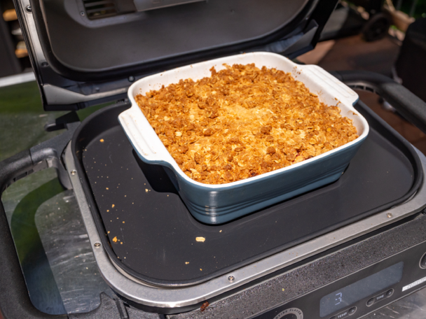 Ninja woodfire grill indybest review