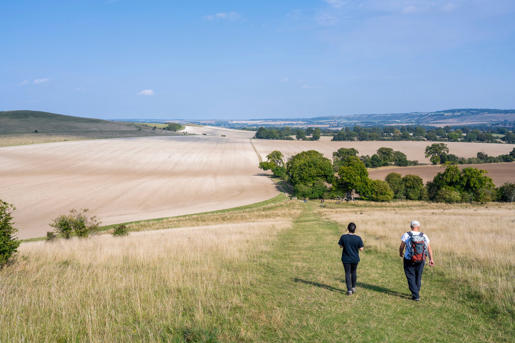 Numerous studies suggest that time in nature can help to restore attention and wellbeing