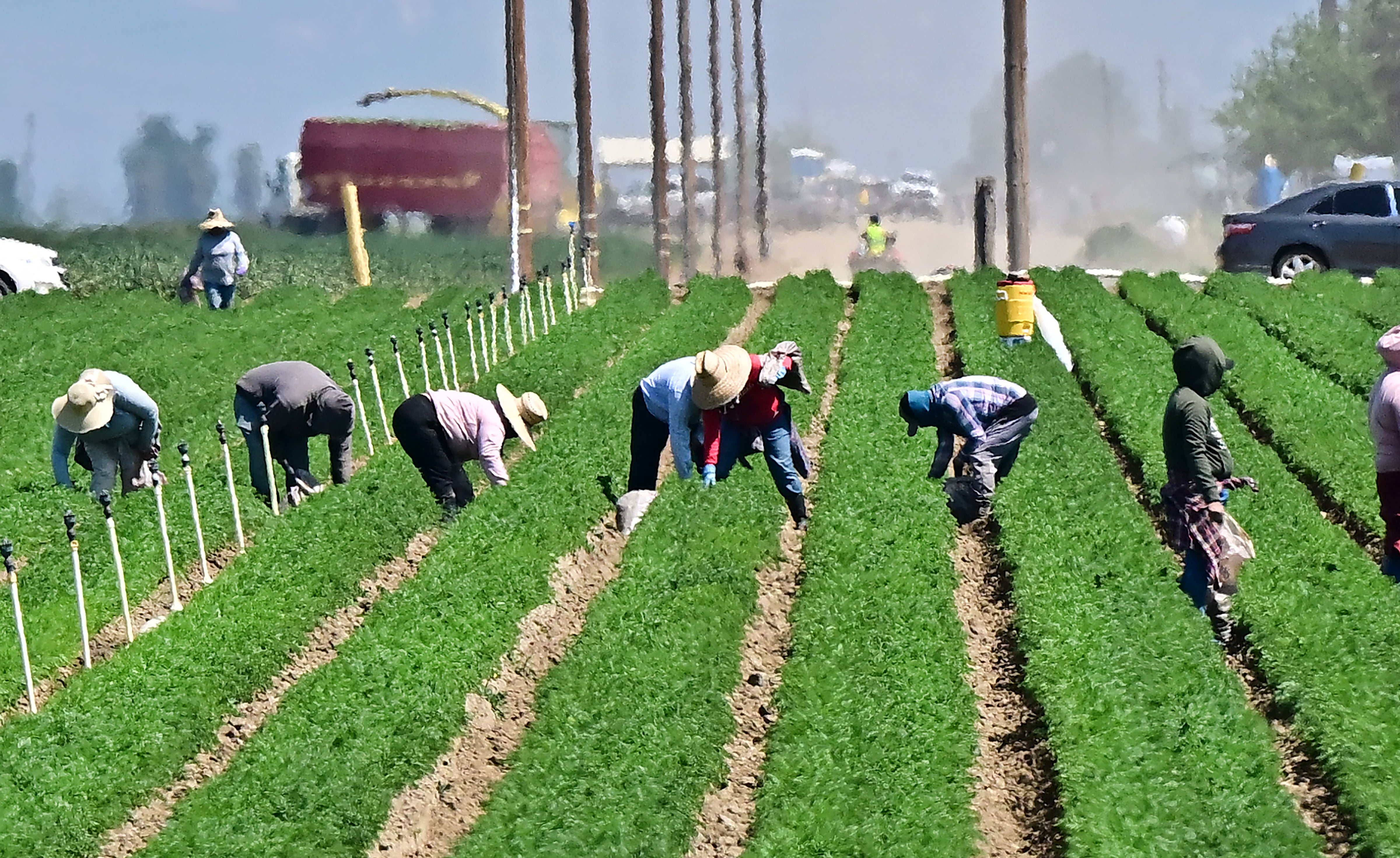 More than 40 percent of the nation’s crop workers are undocumented, according to estimates from the Department of Agriculture