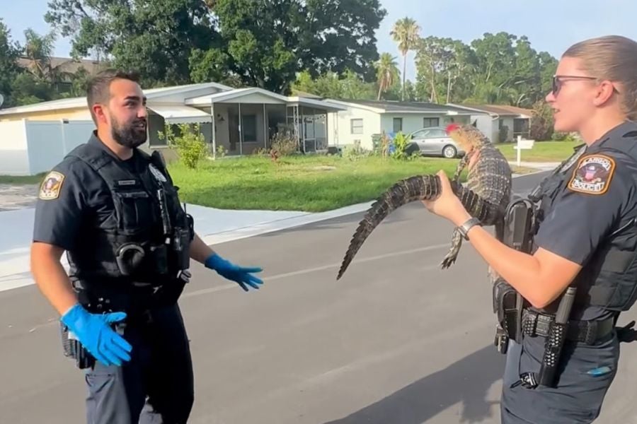 Largo PD Officer Christopher Martinez is going viral for his reaction to his first-ever gator encounter.