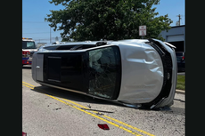 It’s not just the noise: Cicadas are overrunning an amusement park and are taking the blame for a car crash
