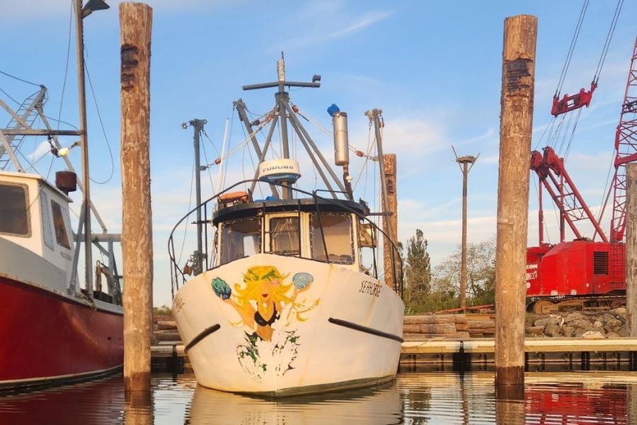 The couple set sail near Cape Cod on Sunday on a fishing vessel known as the F/V Seahorse.