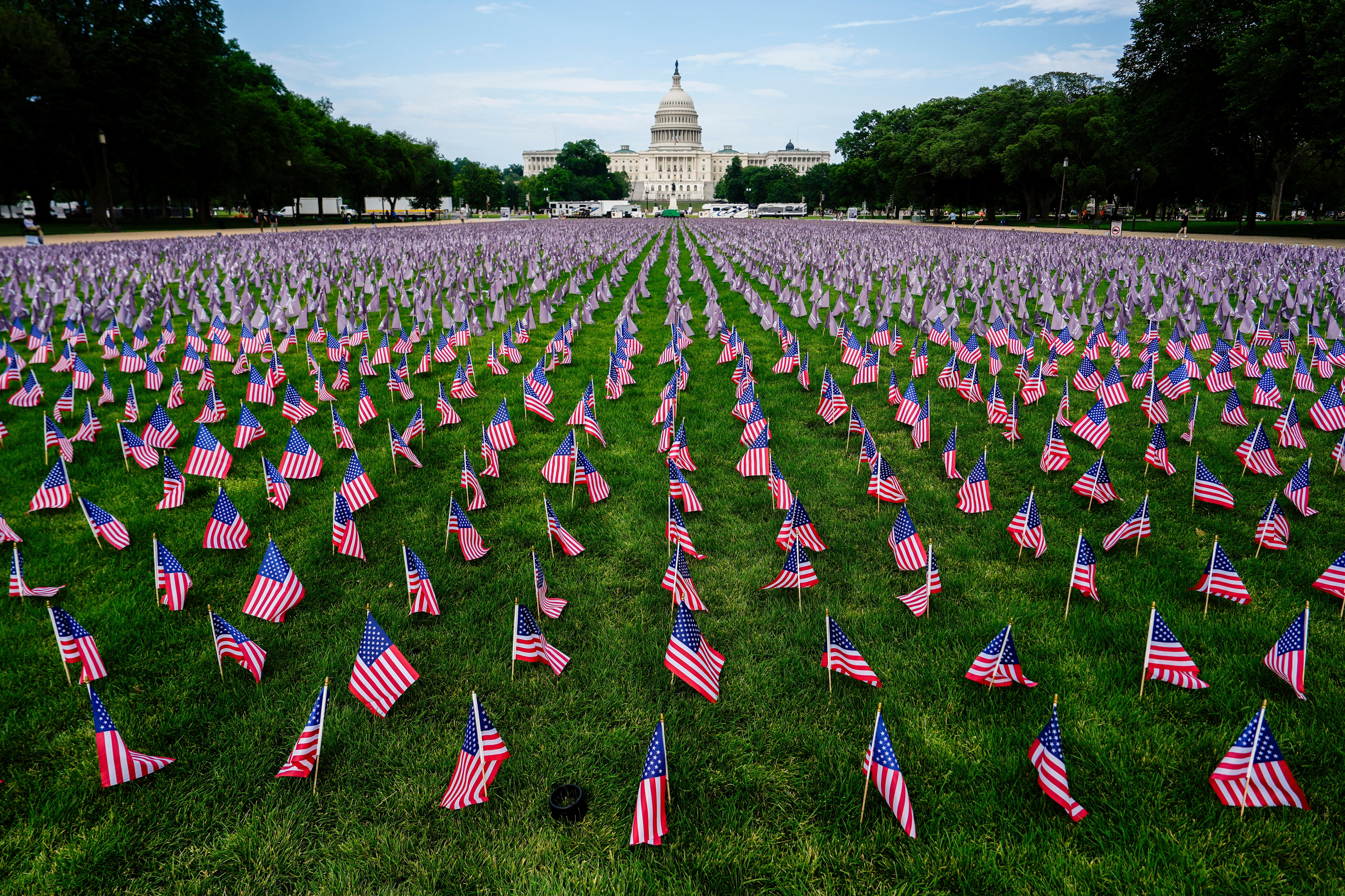 Flag Day Photo Gallery