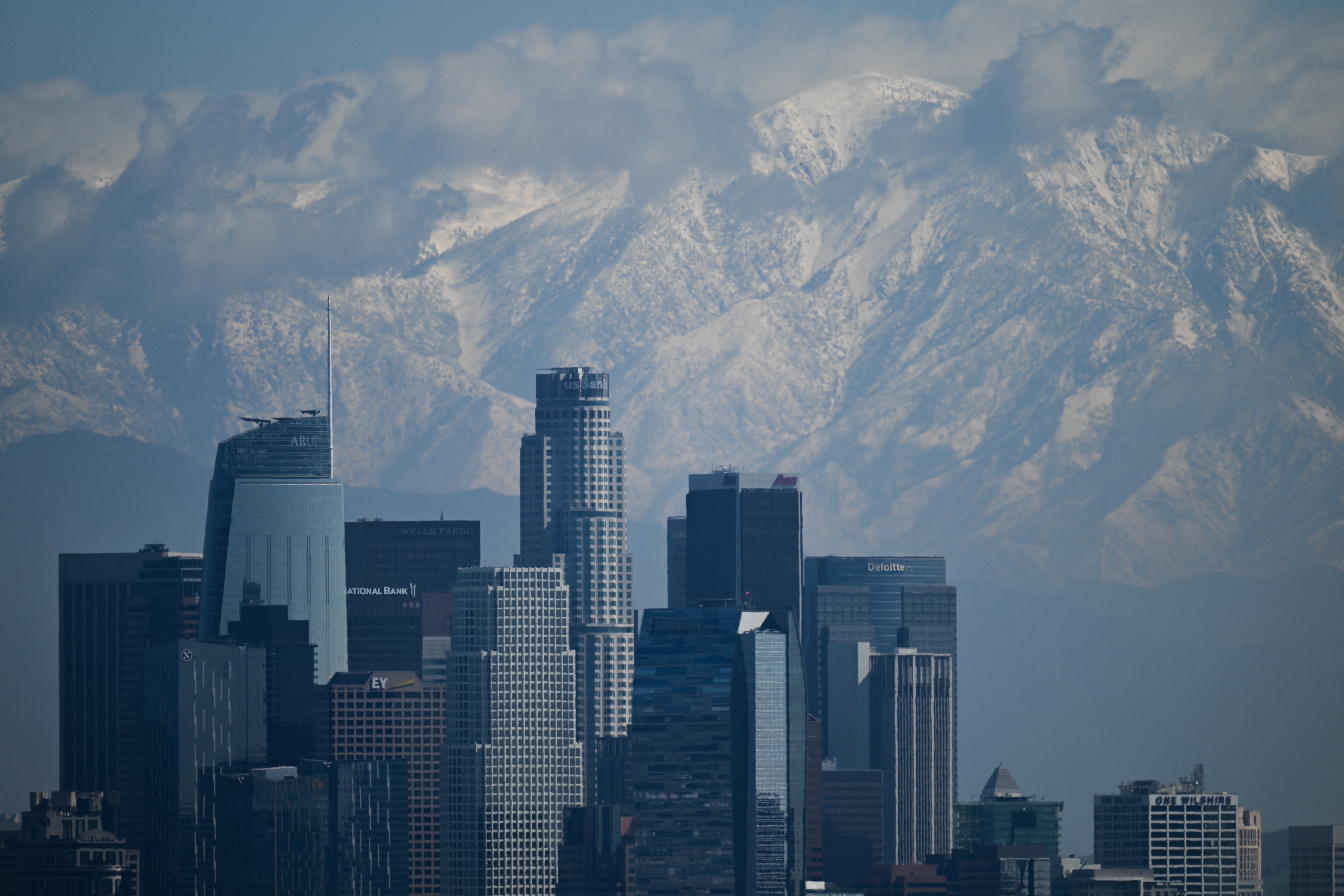 Los Angeles and Dallas-Ft. Worth round out the top five. The City of Angels has seen infestations there increase