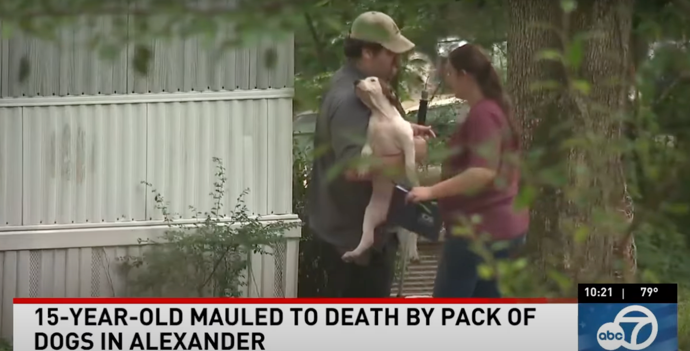 The dogs were a mixture of pit bulls, pit bull cross-breeds and hounds, officials say