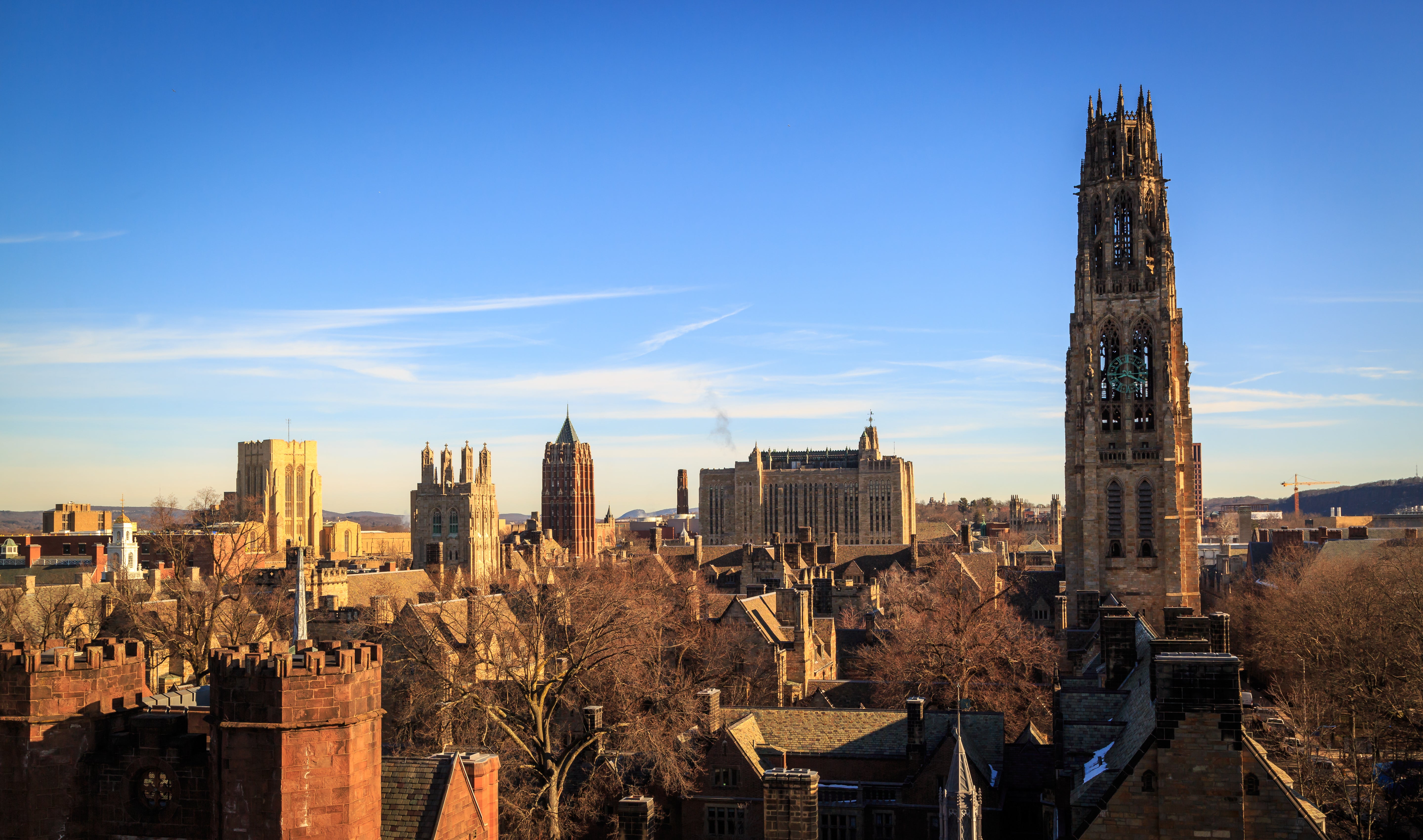 Above is the 'small yet mighty oasis' of New Haven