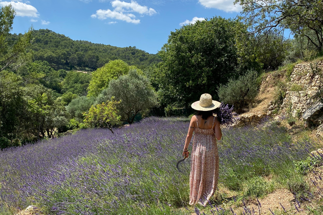 I visited a tech-free retreat with my partner to see if the no-screen rule could bring us closer together