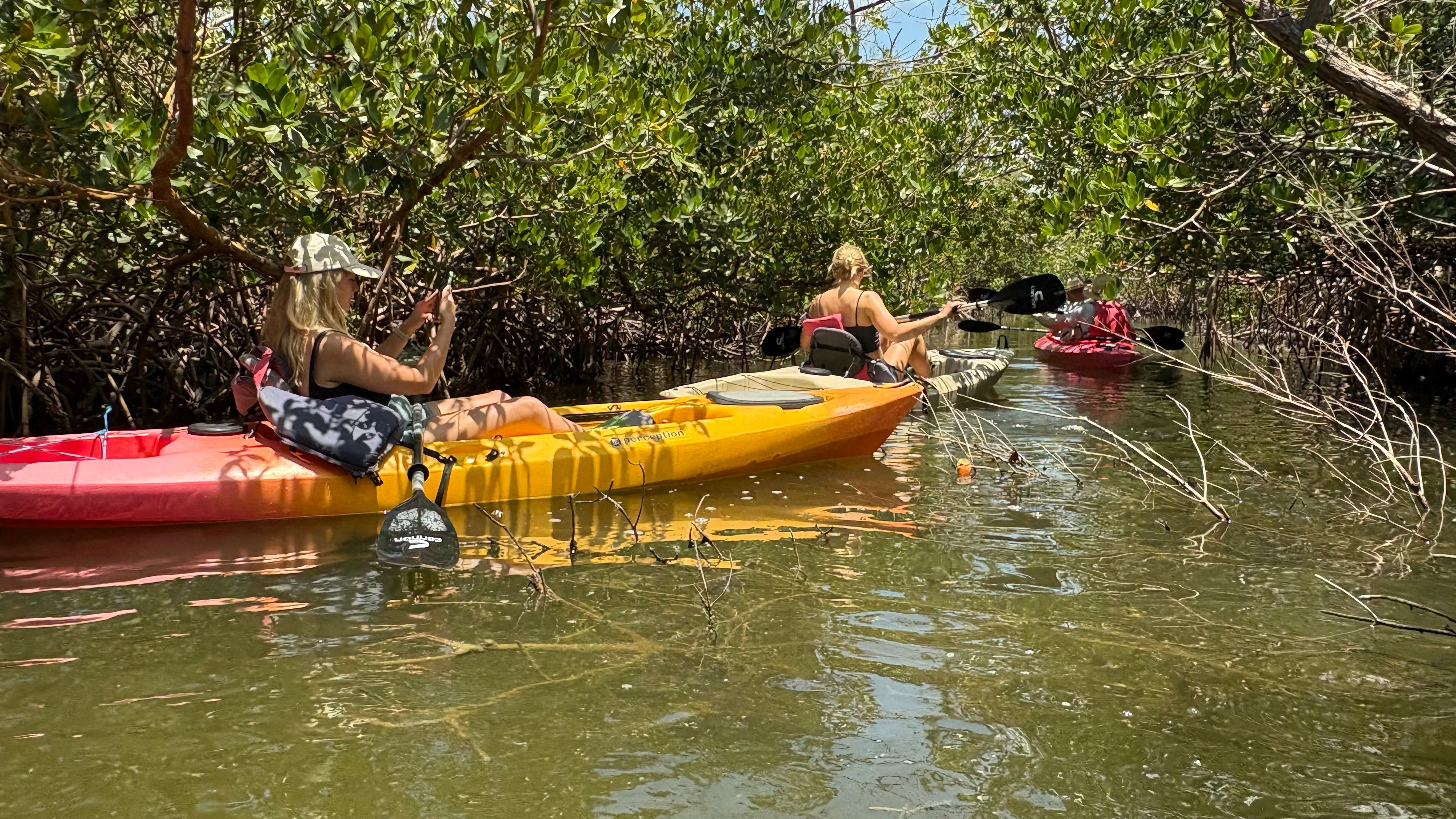 Exploring the mangroves with Adventure Sea Kayak Tours in Captiva