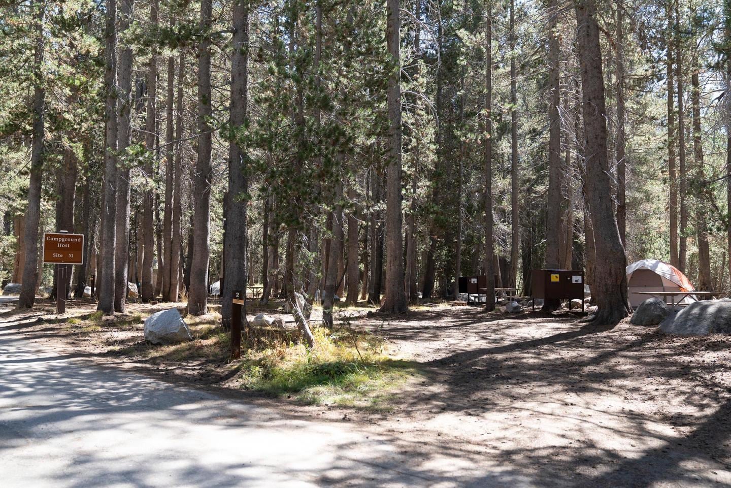 The National Parks Service said additional openings like this campground in Yosemite, will add some 500 campsites for the public’s use.