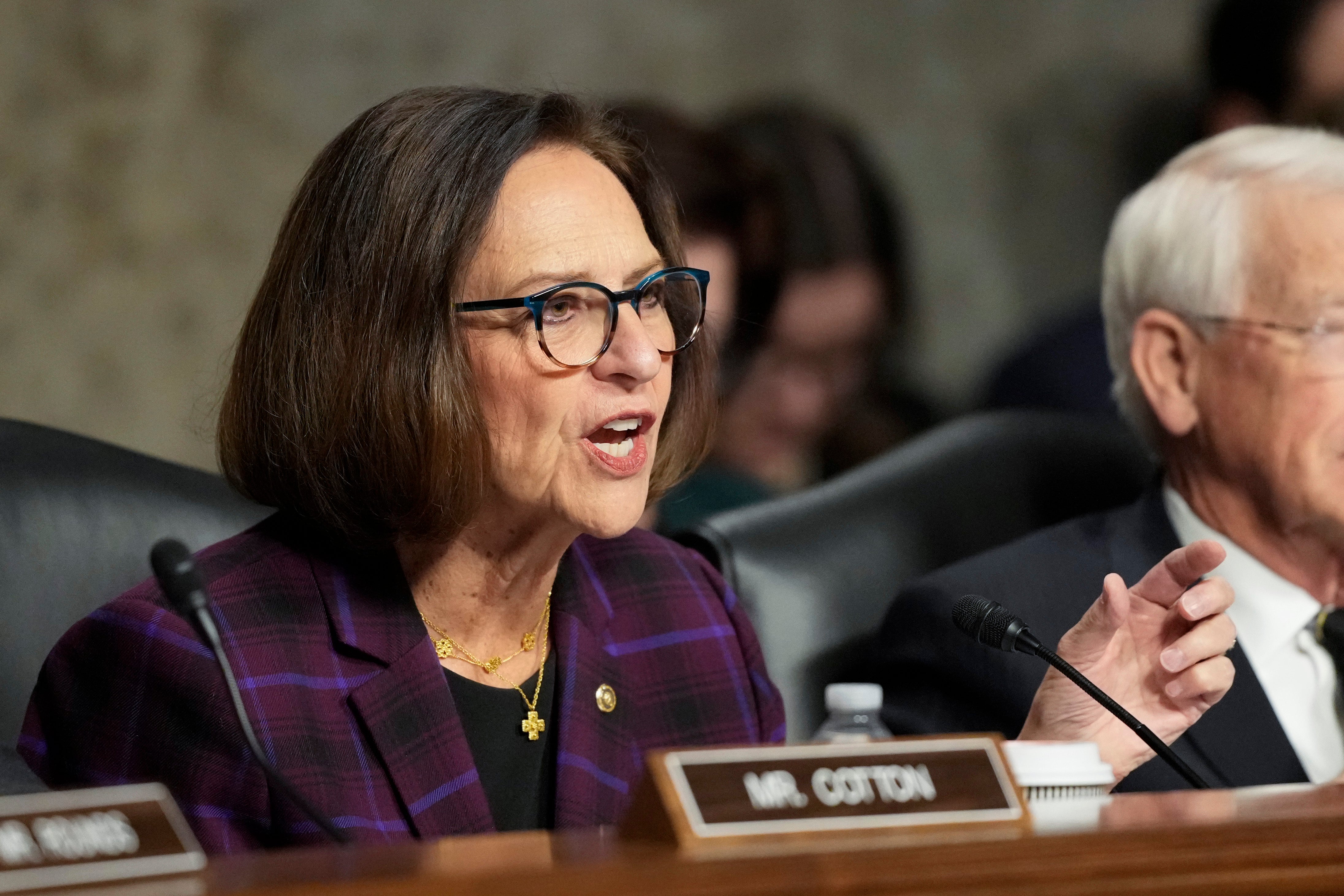 Senate Threats Georgia