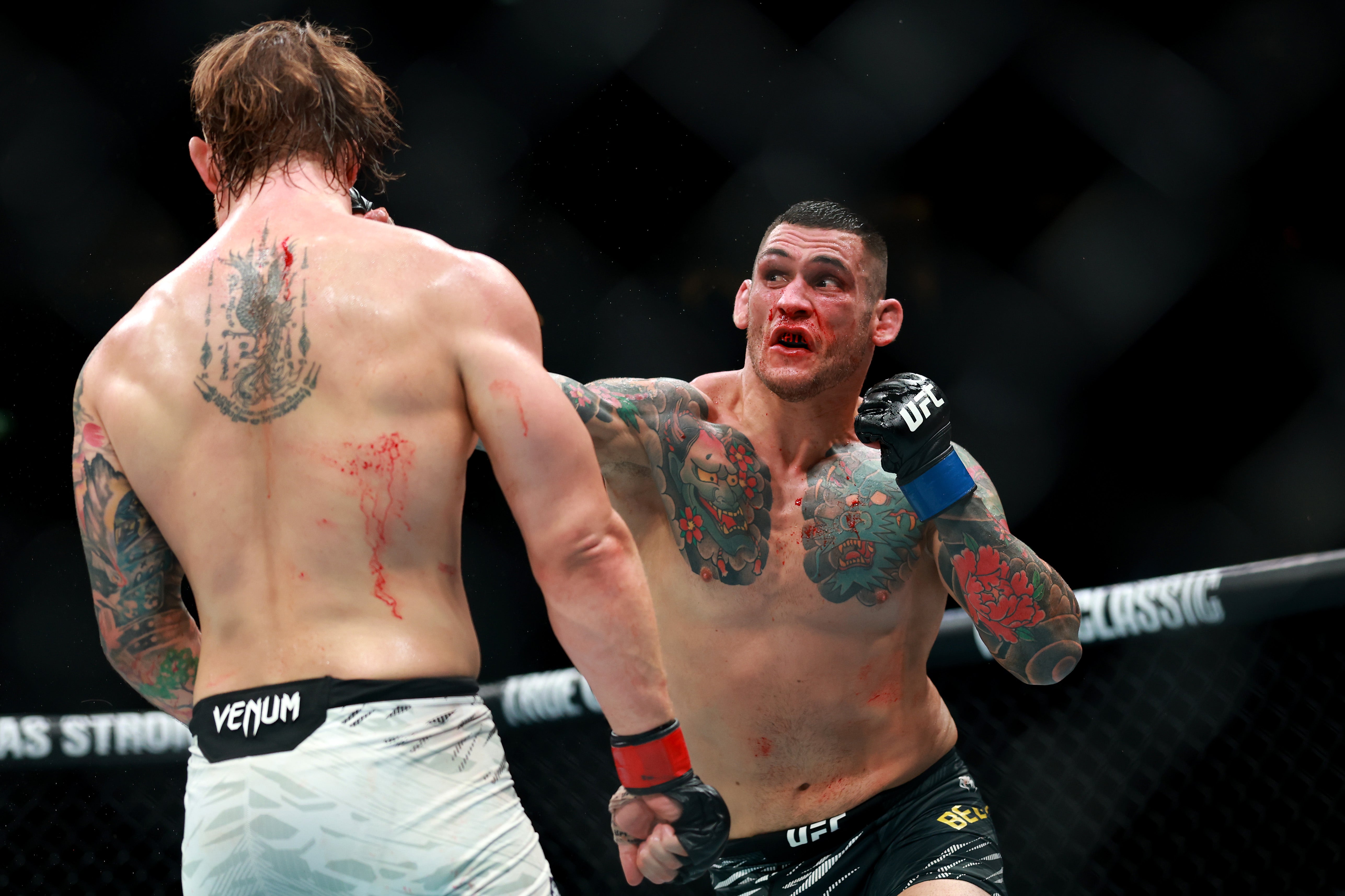 Rodolfo Bellato during a February fight with Jimmy Crute